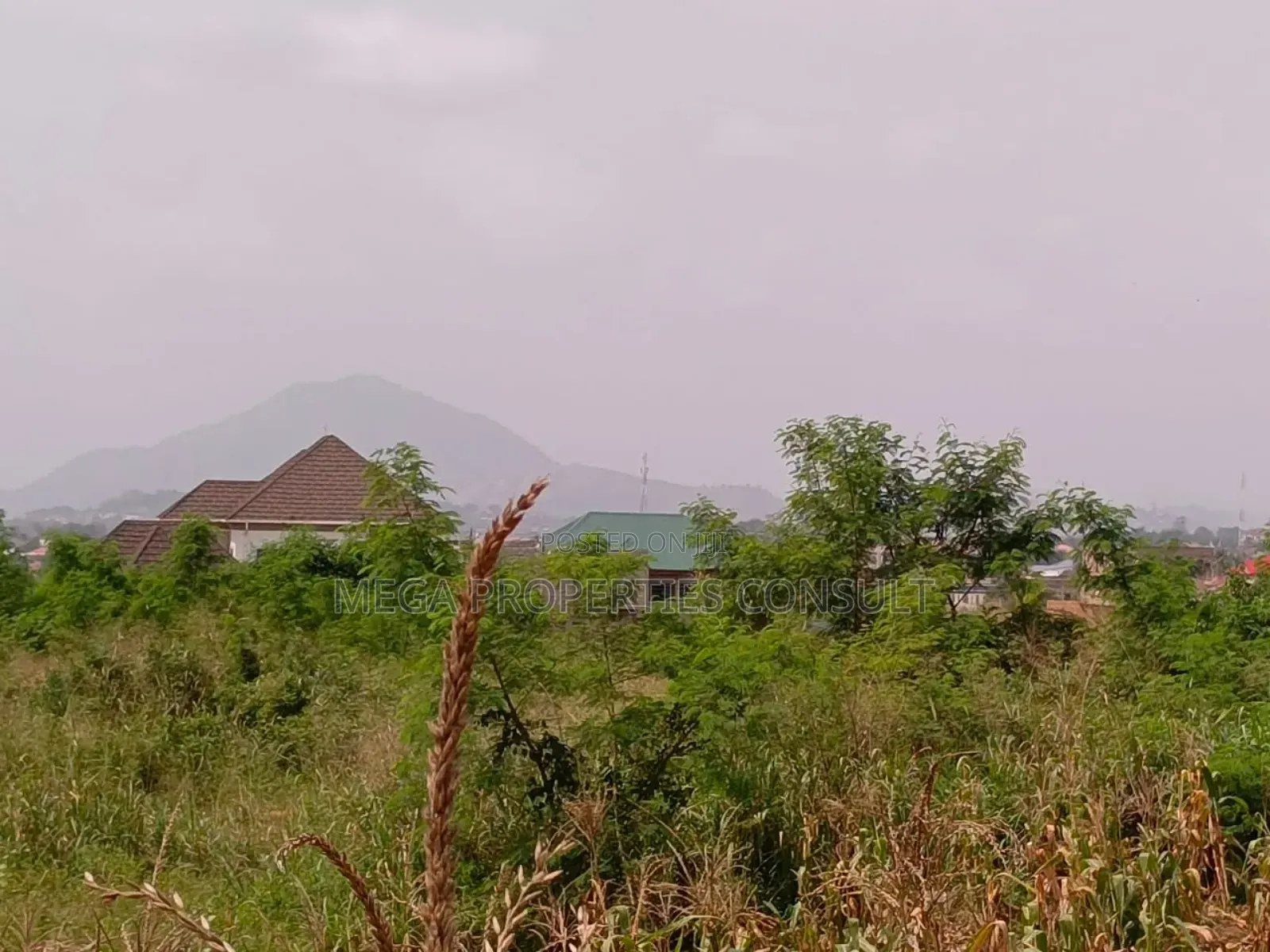 Acres of Farmland for Sale in Eastern Region in Akuapim South