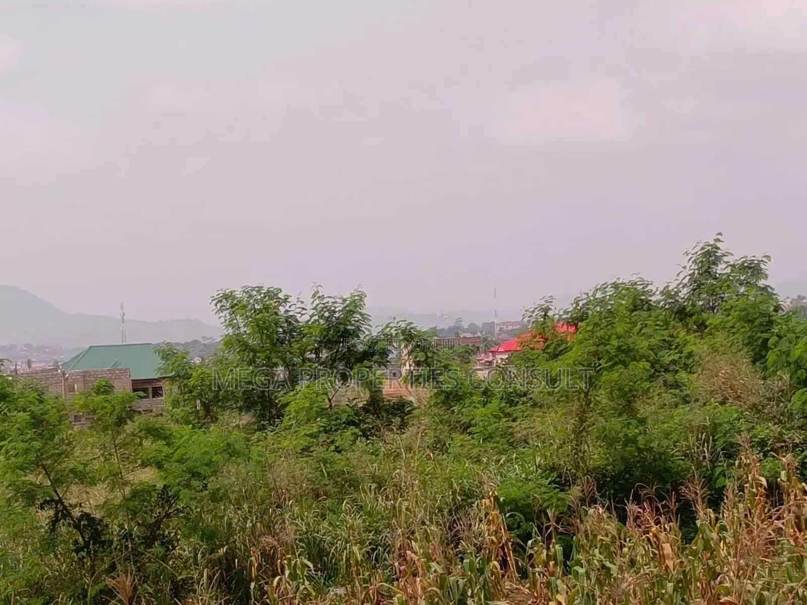 Acres of Farmland for Sale in Eastern Region in Akuapim South