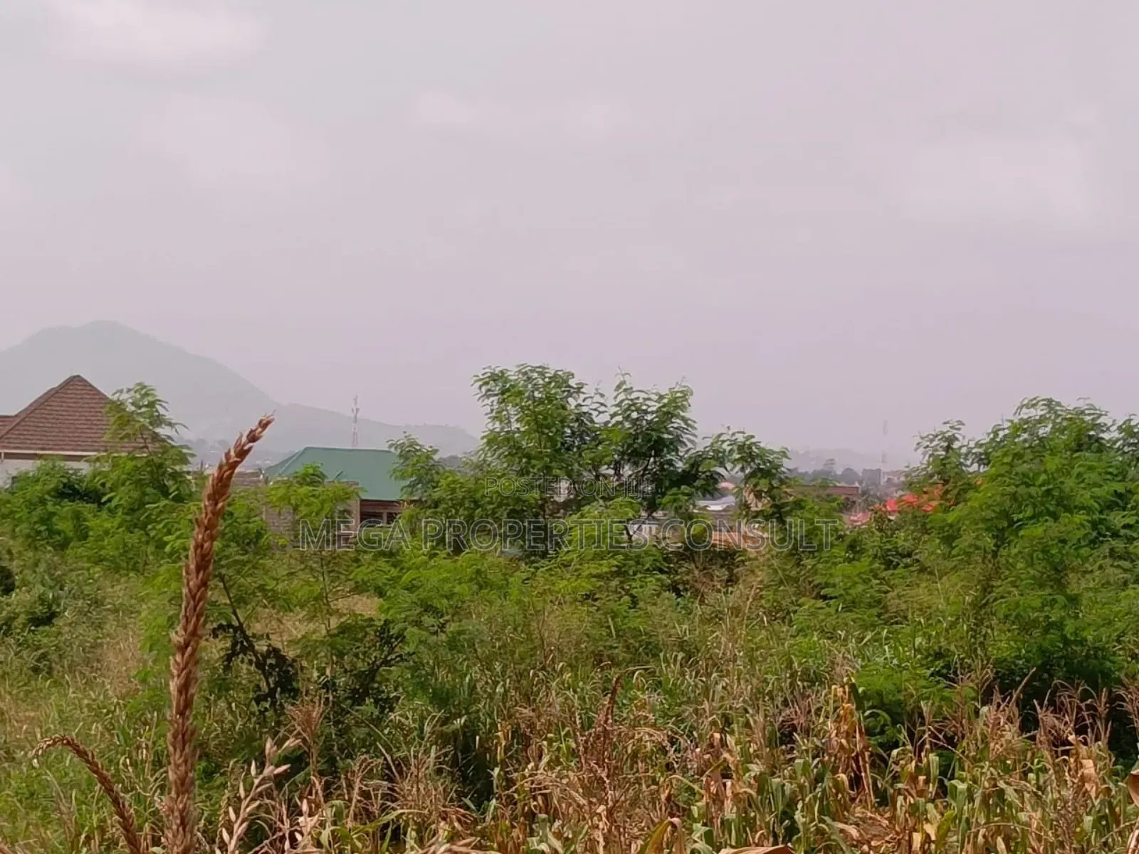 Acres of Farmland for Sale in Eastern Region in Akuapim South