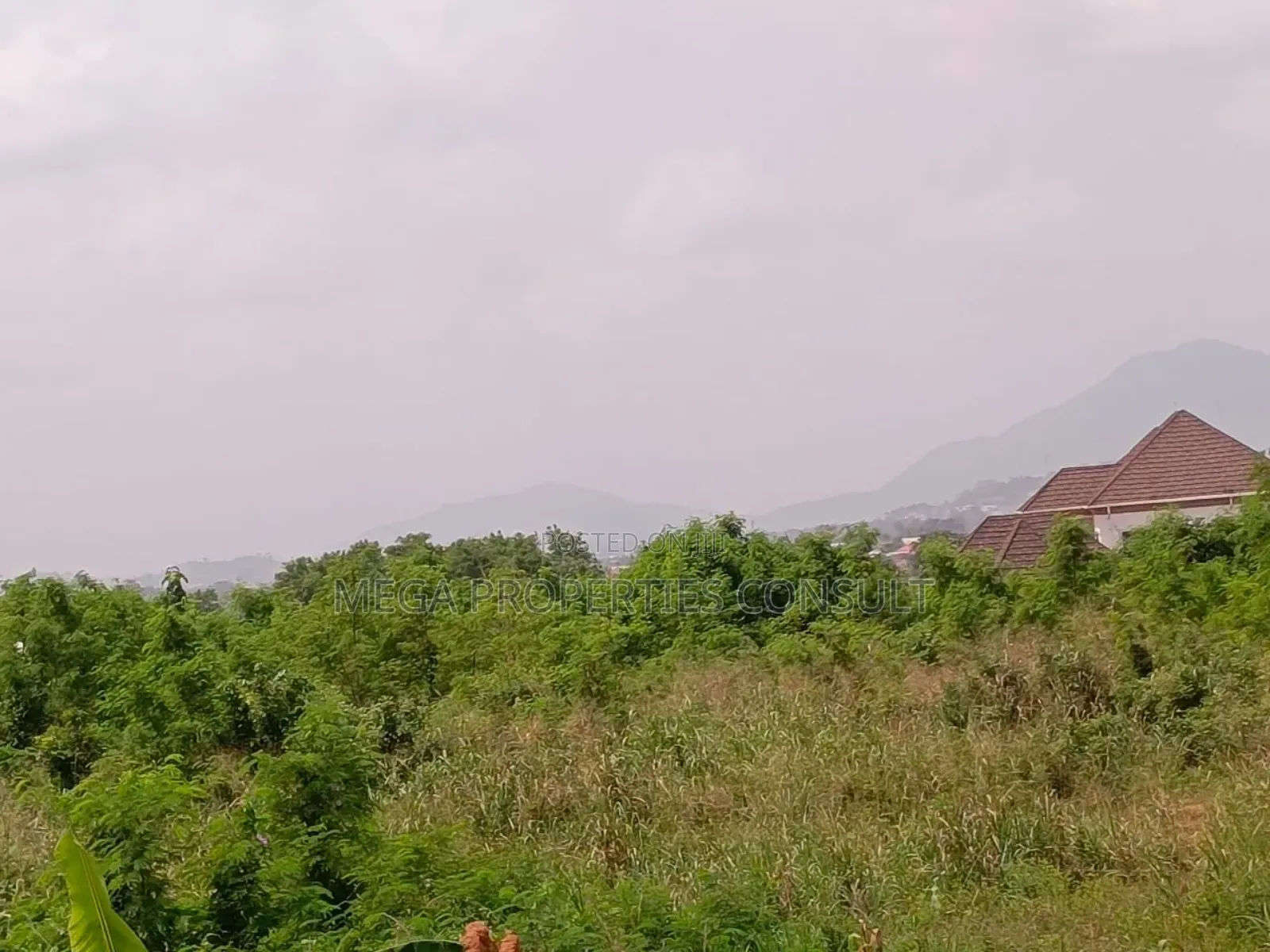Acres of Farmland for Sale in Eastern Region in Akuapim South