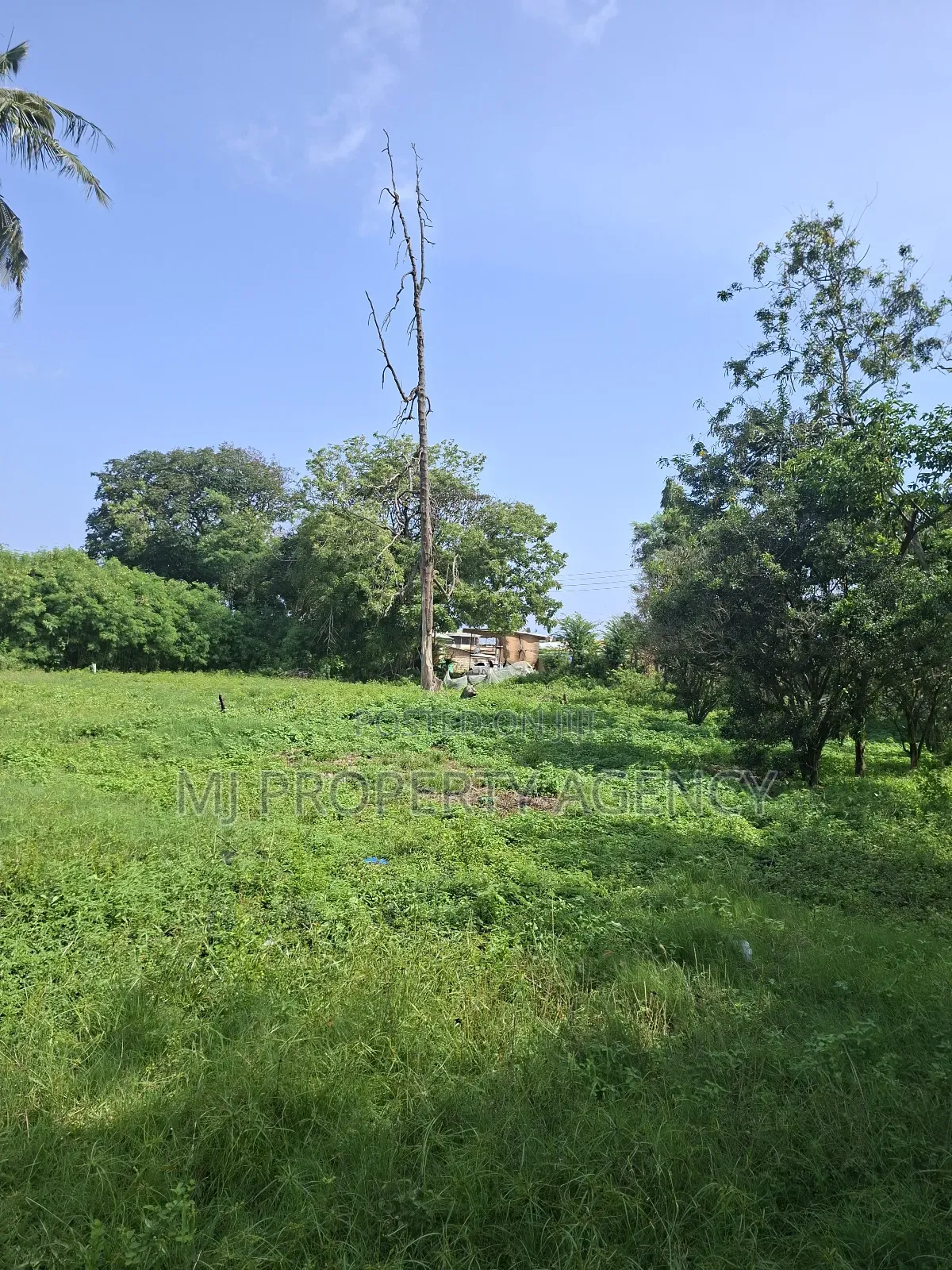 Half Roadside Commercial Plot at Community 7 in Tema Metropolitan