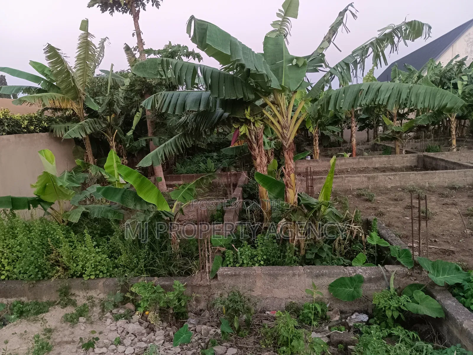 Land for Sale in Tema Metropolitan