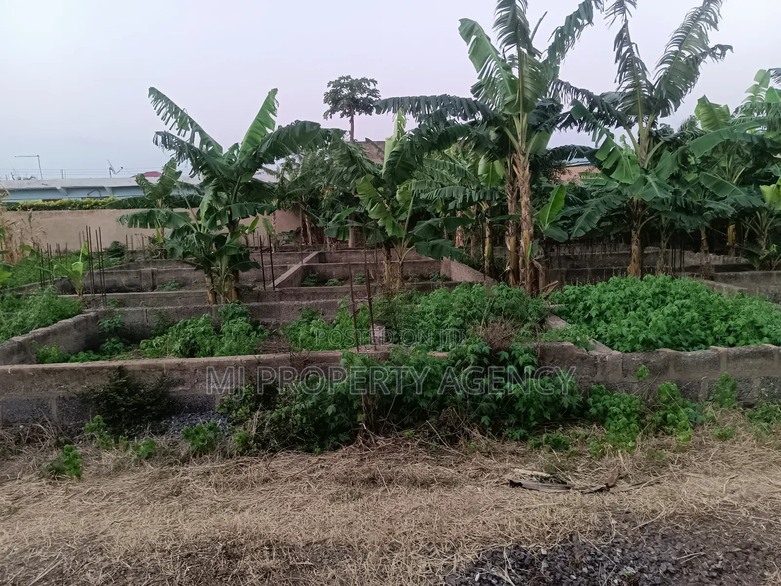Land for Sale in Tema Metropolitan