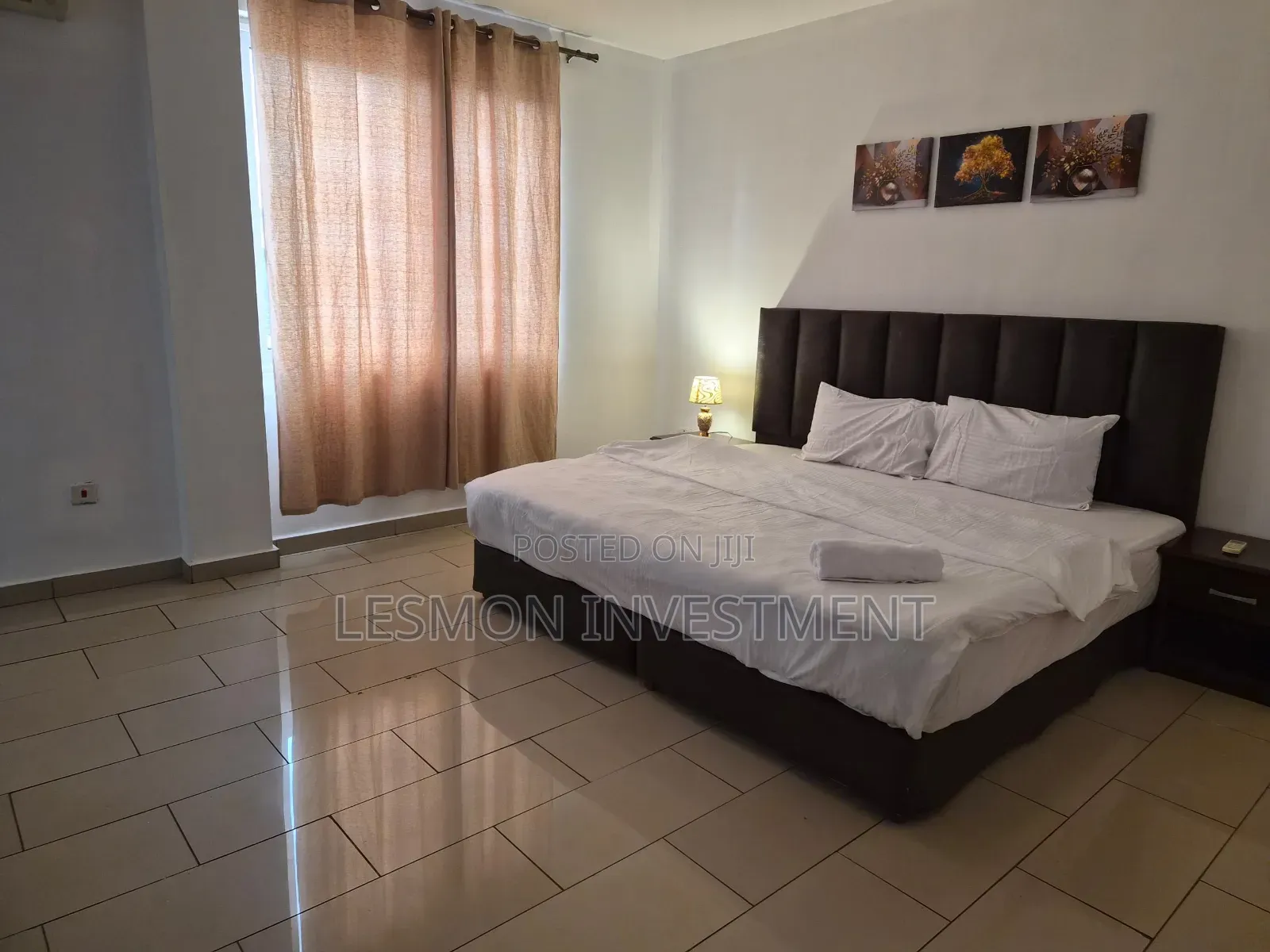 Furnished 2bdrm Apartment in Lesmon Investment, East Legon for rent in East Legon