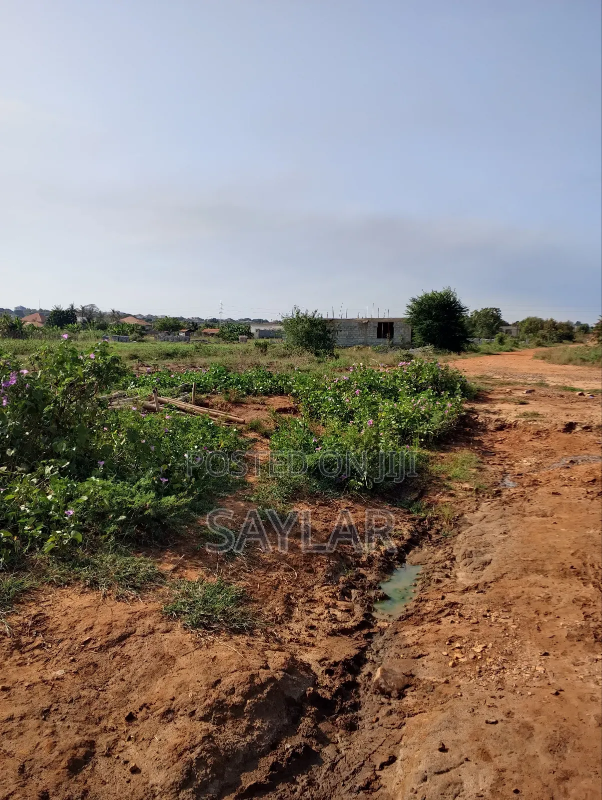 Land for Sale Afienya/Adjemador in Tema Metropolitan
