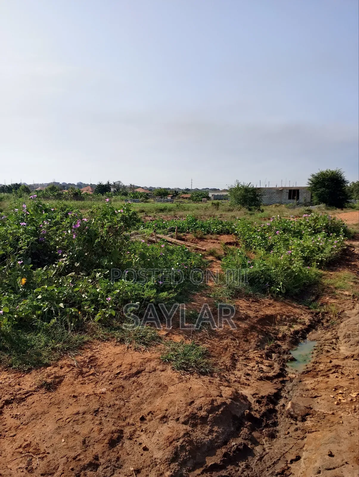 Land for Sale Afienya/Adjemador in Tema Metropolitan