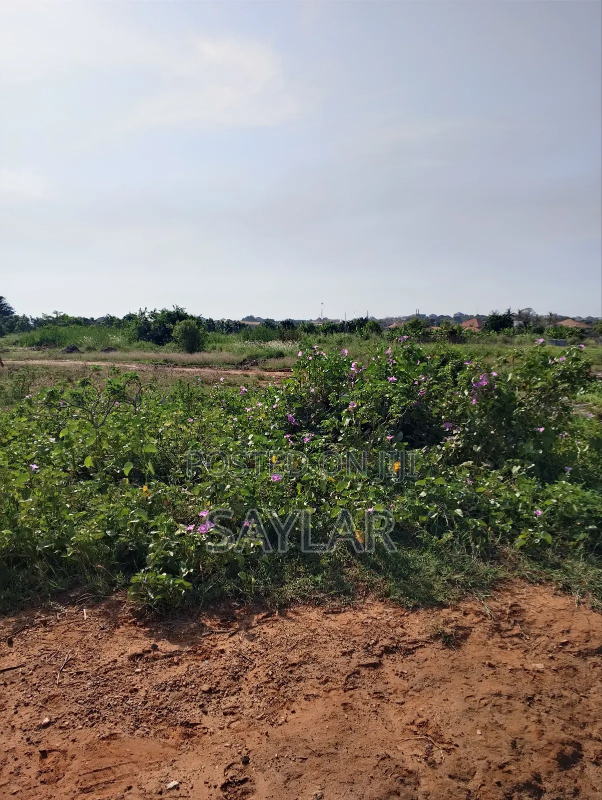 Land for Sale Afienya/Adjemador in Tema Metropolitan