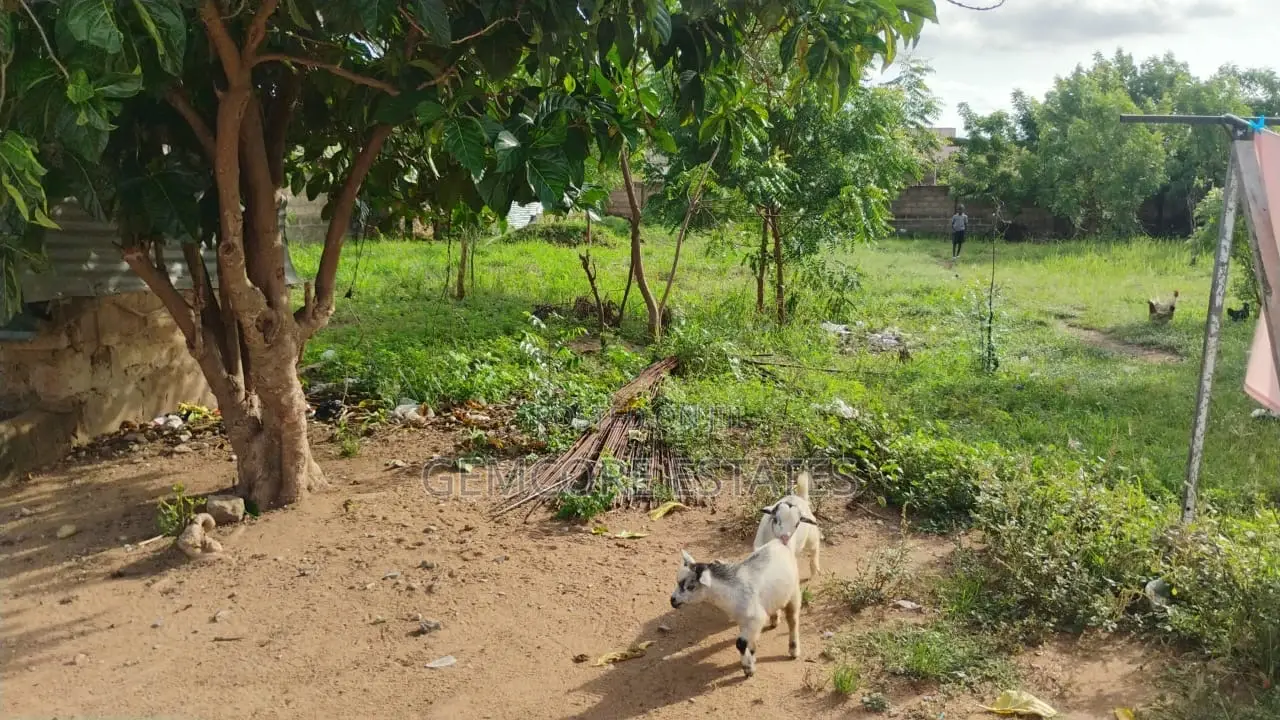 Land for Sale in Amasaman