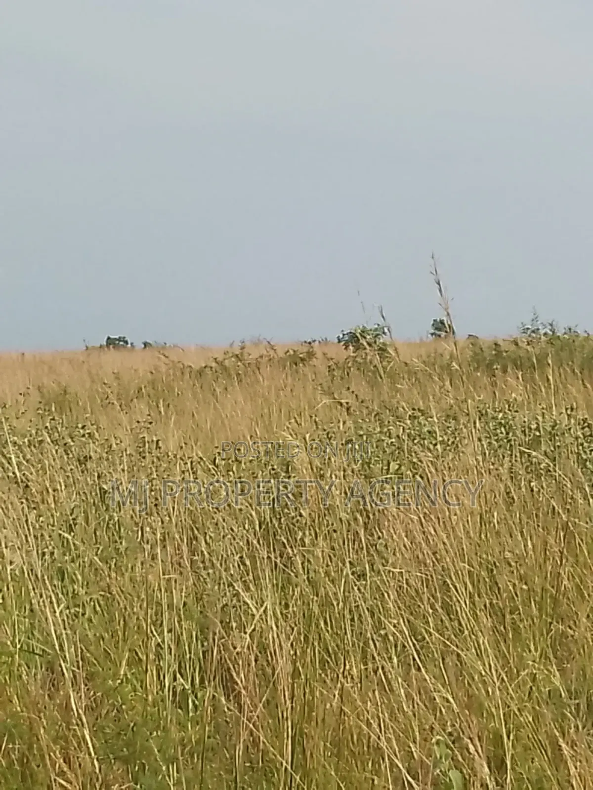 13 Acres Roadside Industrial Plot Prampram in Prampram