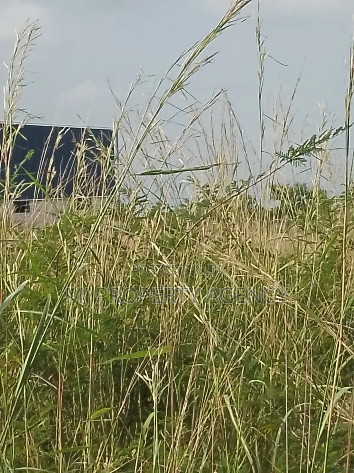 13 Acres Roadside Industrial Plot Prampram in Prampram