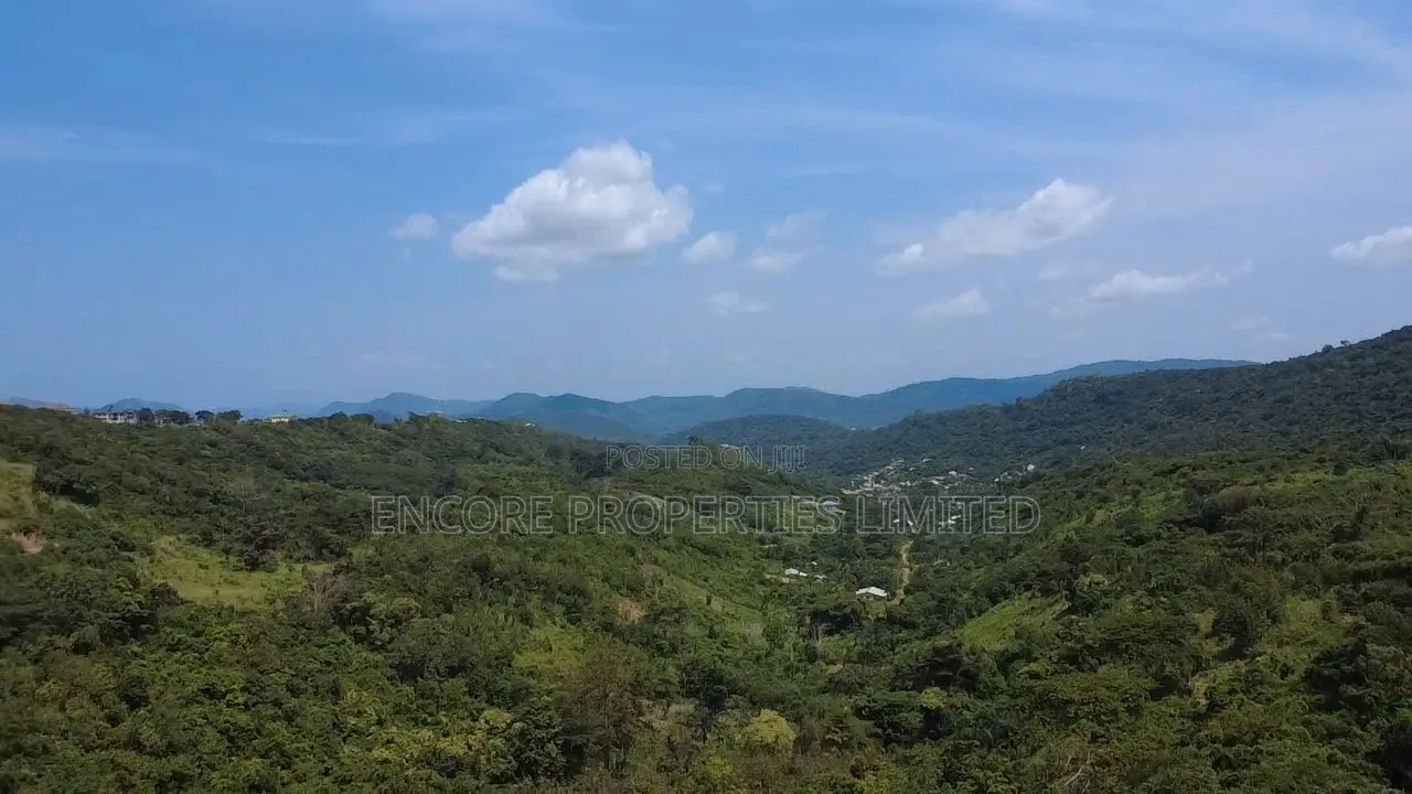 50 Acres of Estate Land Inside Akosombo in Asuogyaman