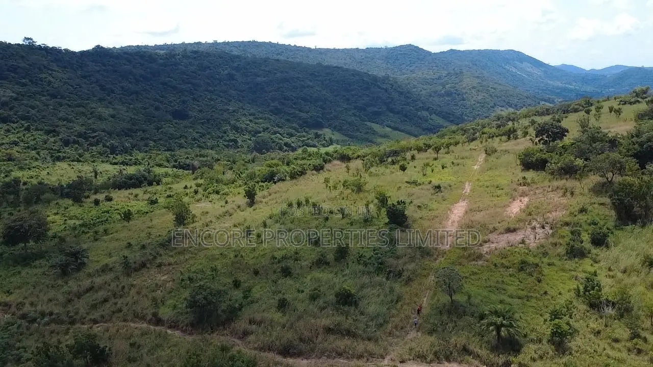 50 Acres of Estate Land Inside Akosombo in Asuogyaman