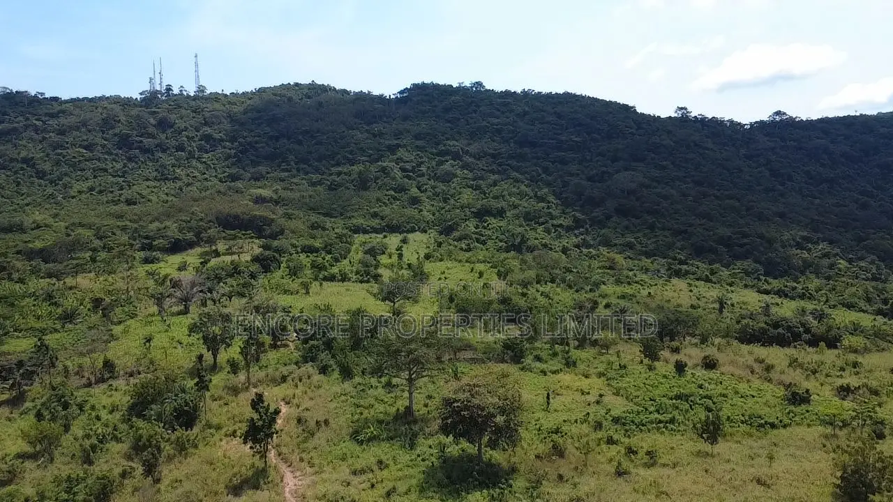 50 Acres of Estate Land Inside Akosombo in Asuogyaman