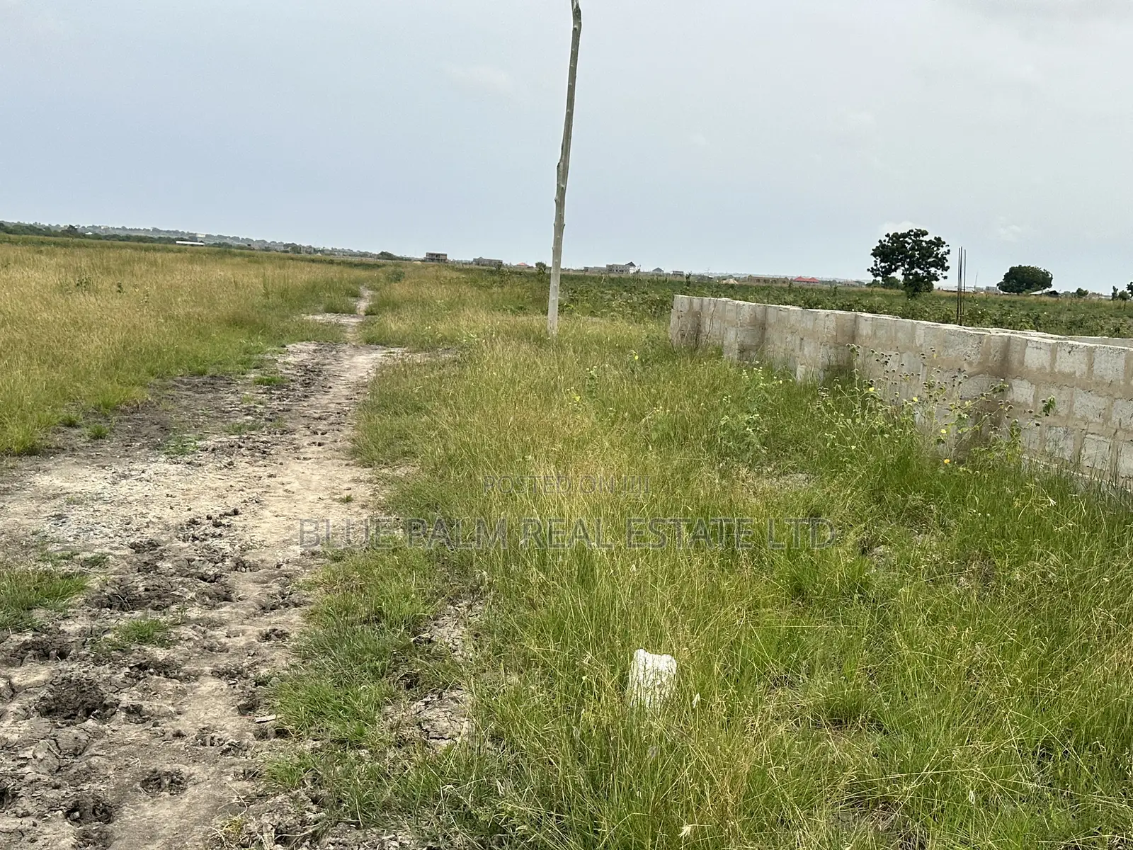 Budget-Friendly Plots for Sale in Dawhenya Buerko in Dawhenya