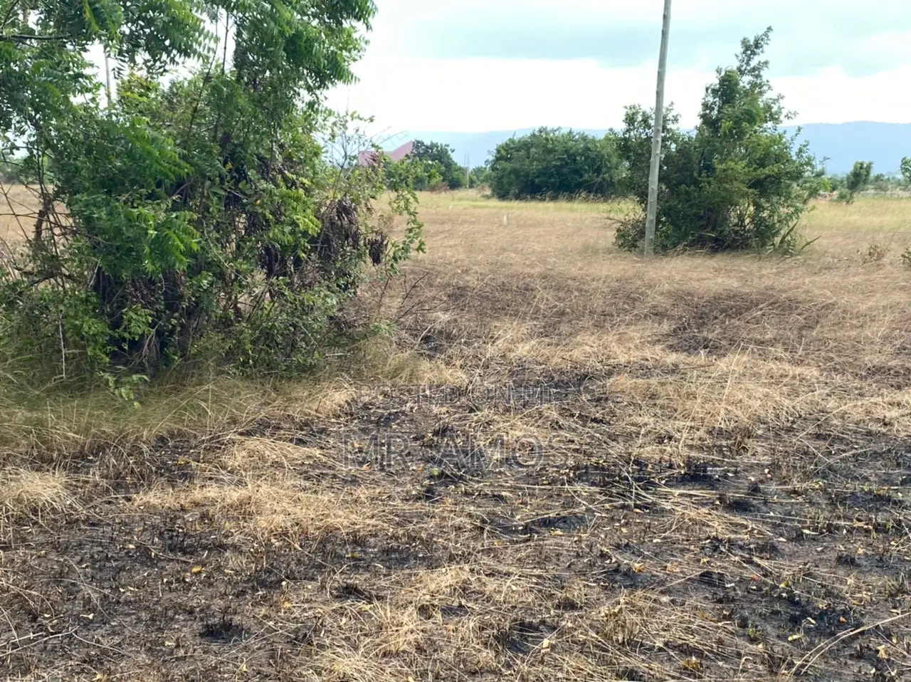 Registered Plots of Land at Afienya Shai Hills(70x100) in Accra Metropolitan