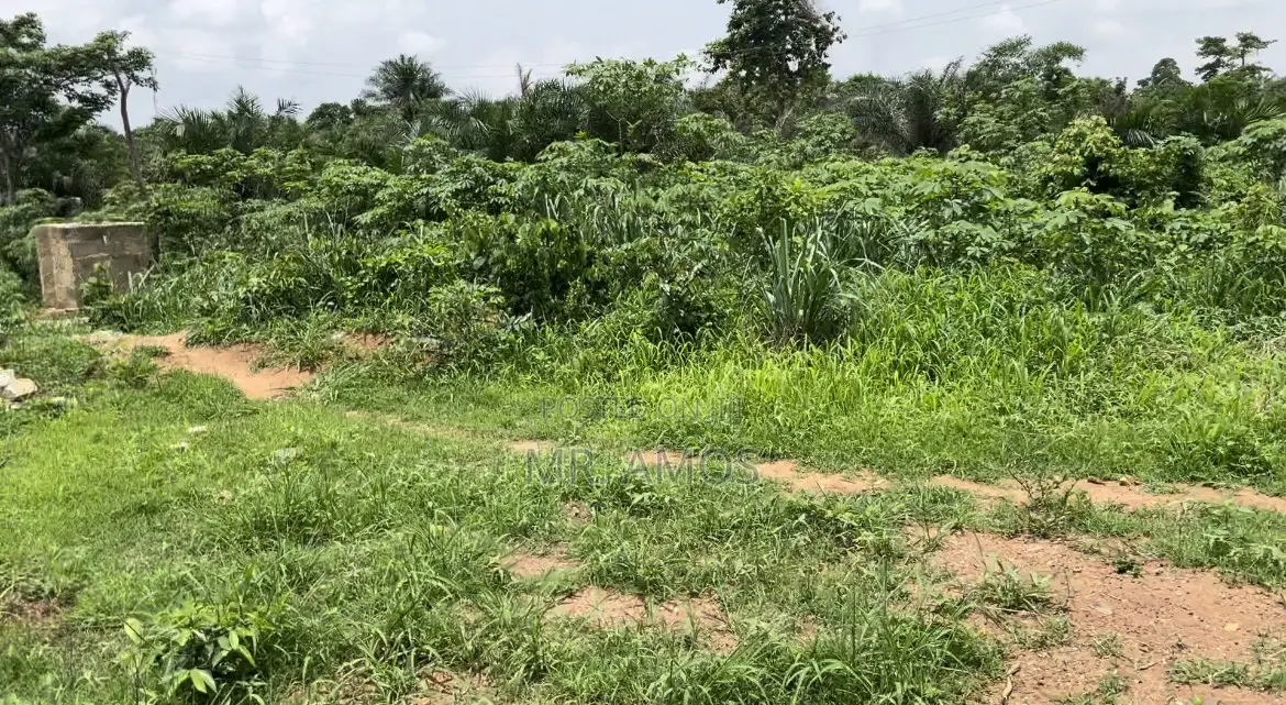 Registered Plots of Land at Afienya Shai Hills(70x100) in Accra Metropolitan