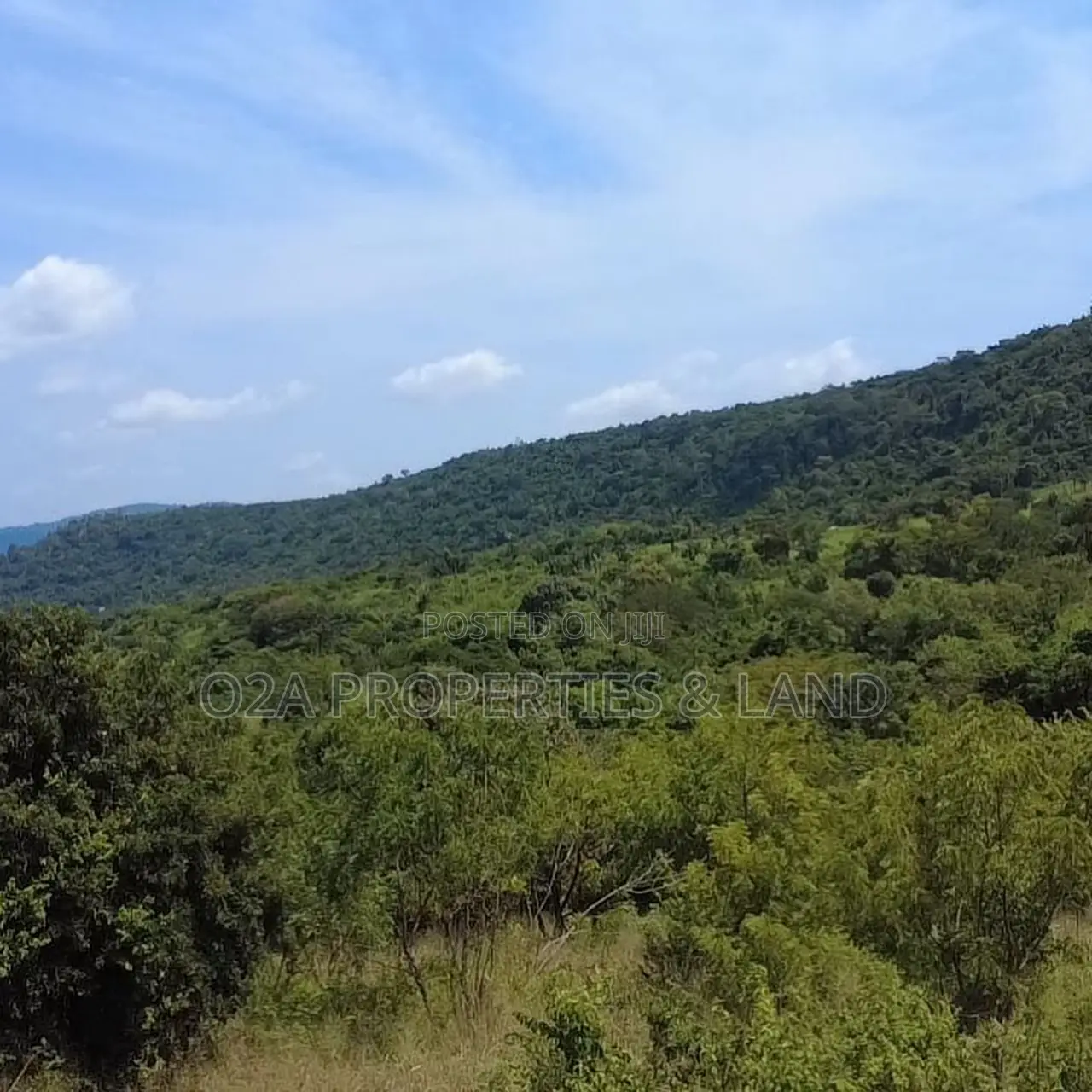 Executive 70×100 Ft Plot of Hill Land for Sale at Tema–Akosombo in Community 25