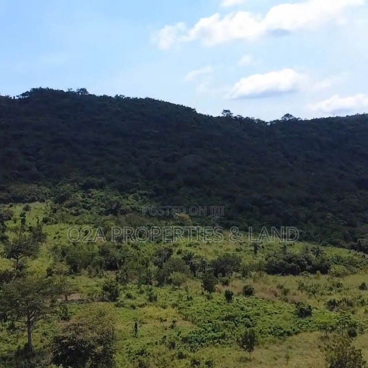 Executive 70×100 Ft Plot of Hill Land for Sale at Tema–Akosombo in Community 25