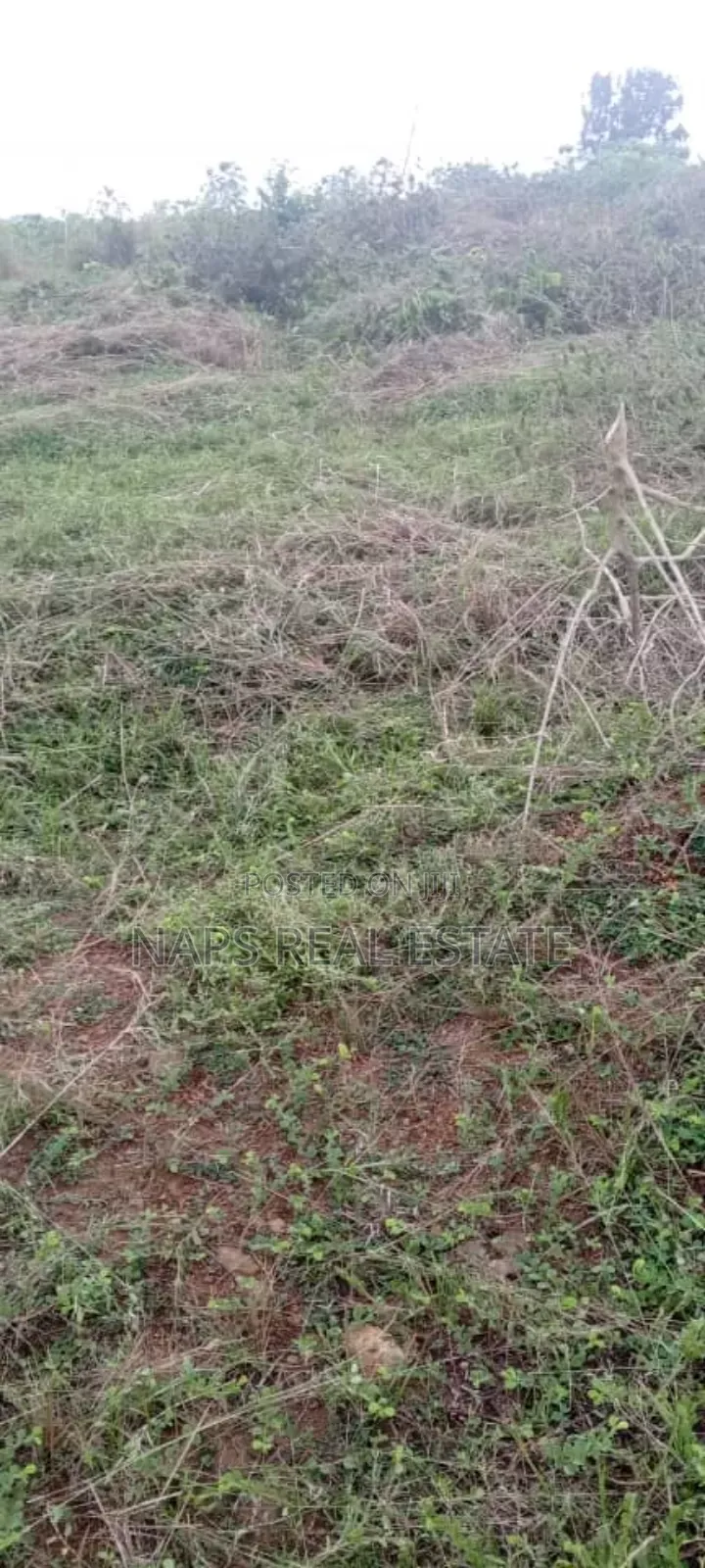 Genuine 70/100 Plot of Land With Genuine Documents for Sale in Awutu Senya East Municipal