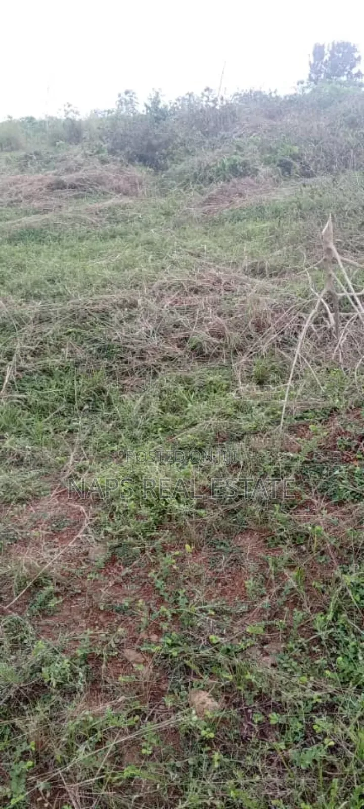 Genuine 70/100 Plot of Land With Genuine Documents for Sale in Awutu Senya East Municipal