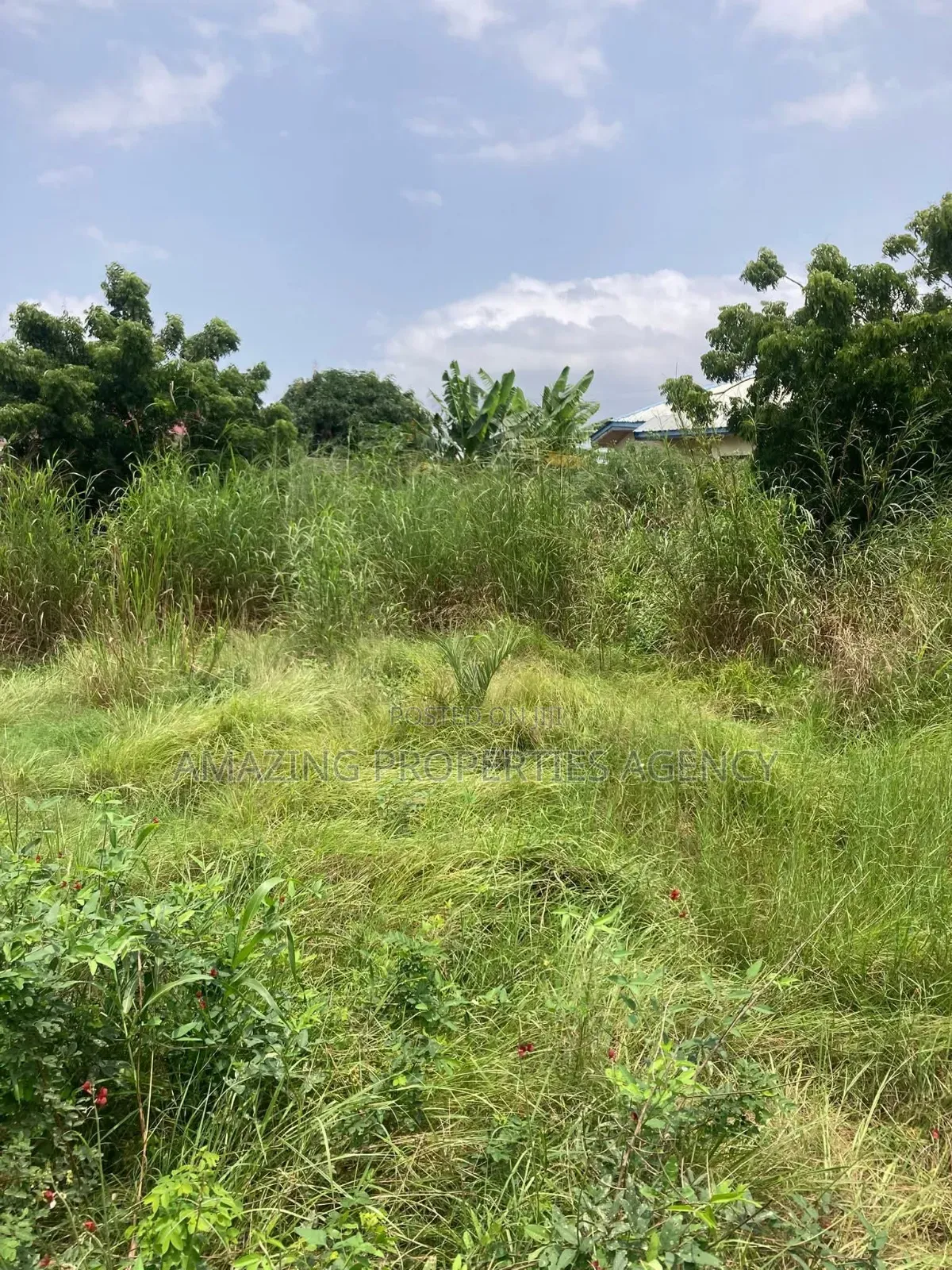 For Sale 50 Acres of Land
Title
Dawa in Tema Metropolitan