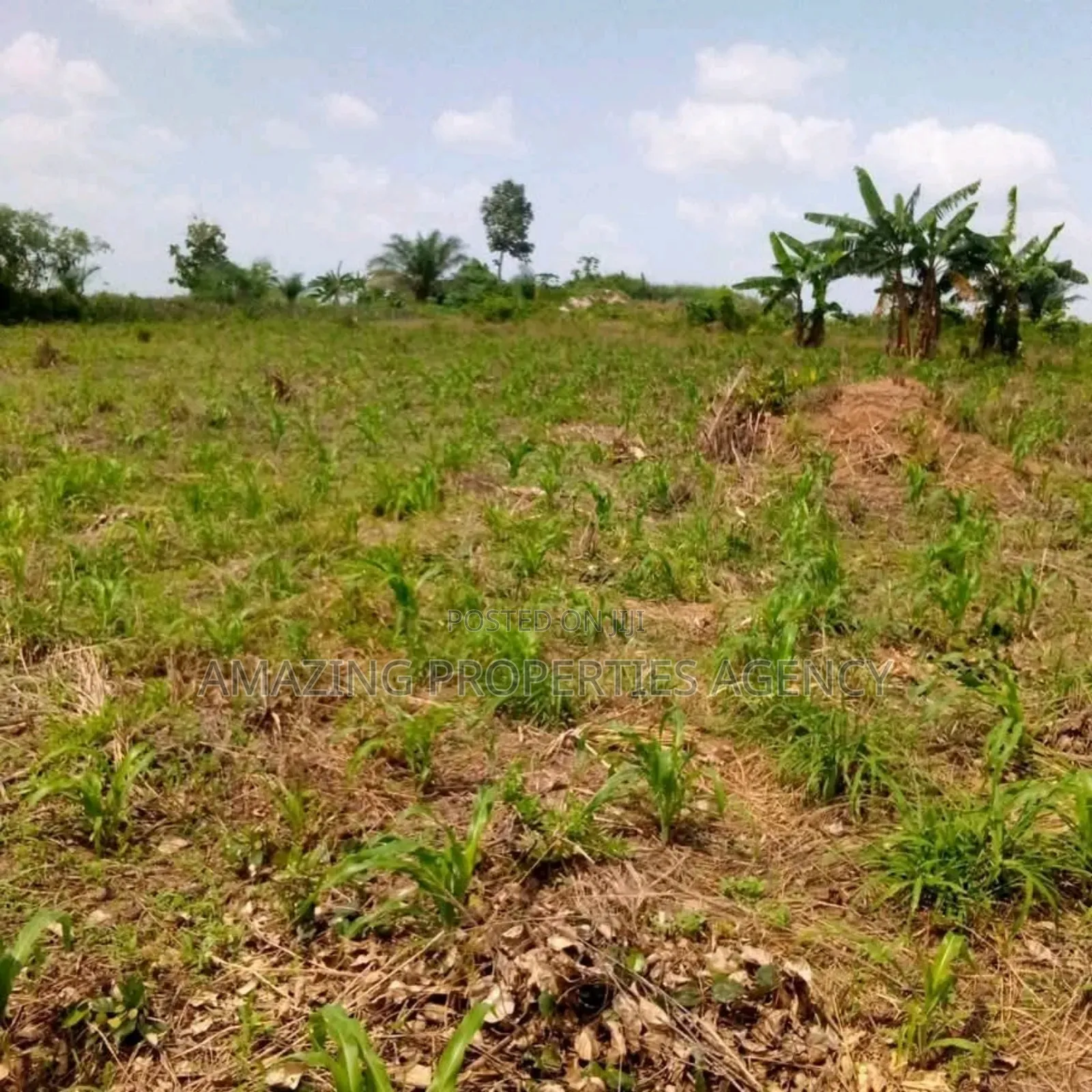 11 Acres of Prime Area Main Roadside Land for Sale at Tema Motorway in Tema Metropolitan