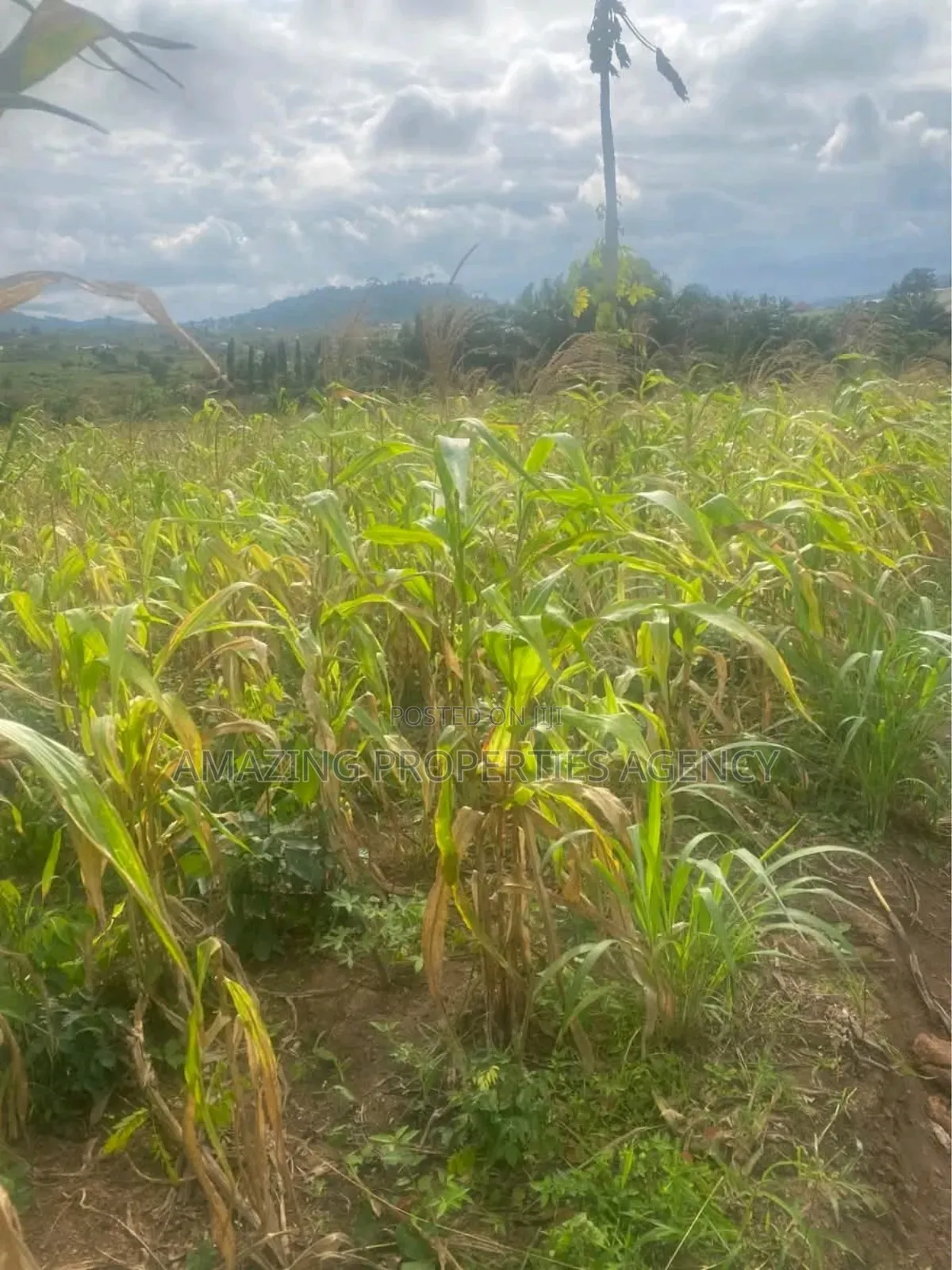 100 Acres of Prime Area Main Roadside Land at Shai Hills in North Ridge