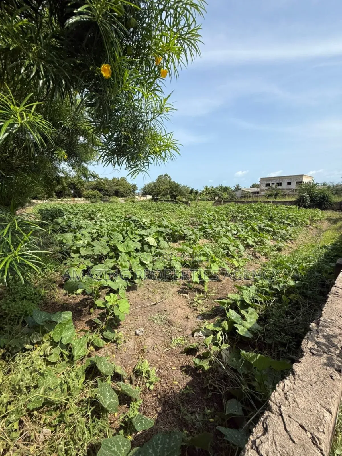 200 Acres of Prime Legon in Little Legon