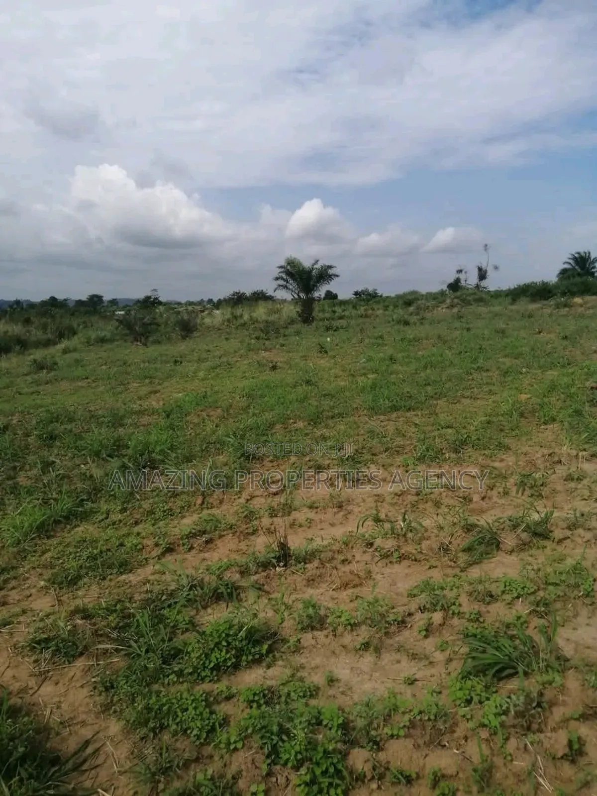200 Acres of Prime Legon in Little Legon