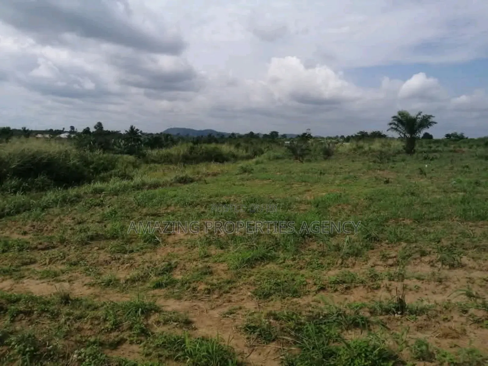 200 Acres of Prime Legon in Little Legon