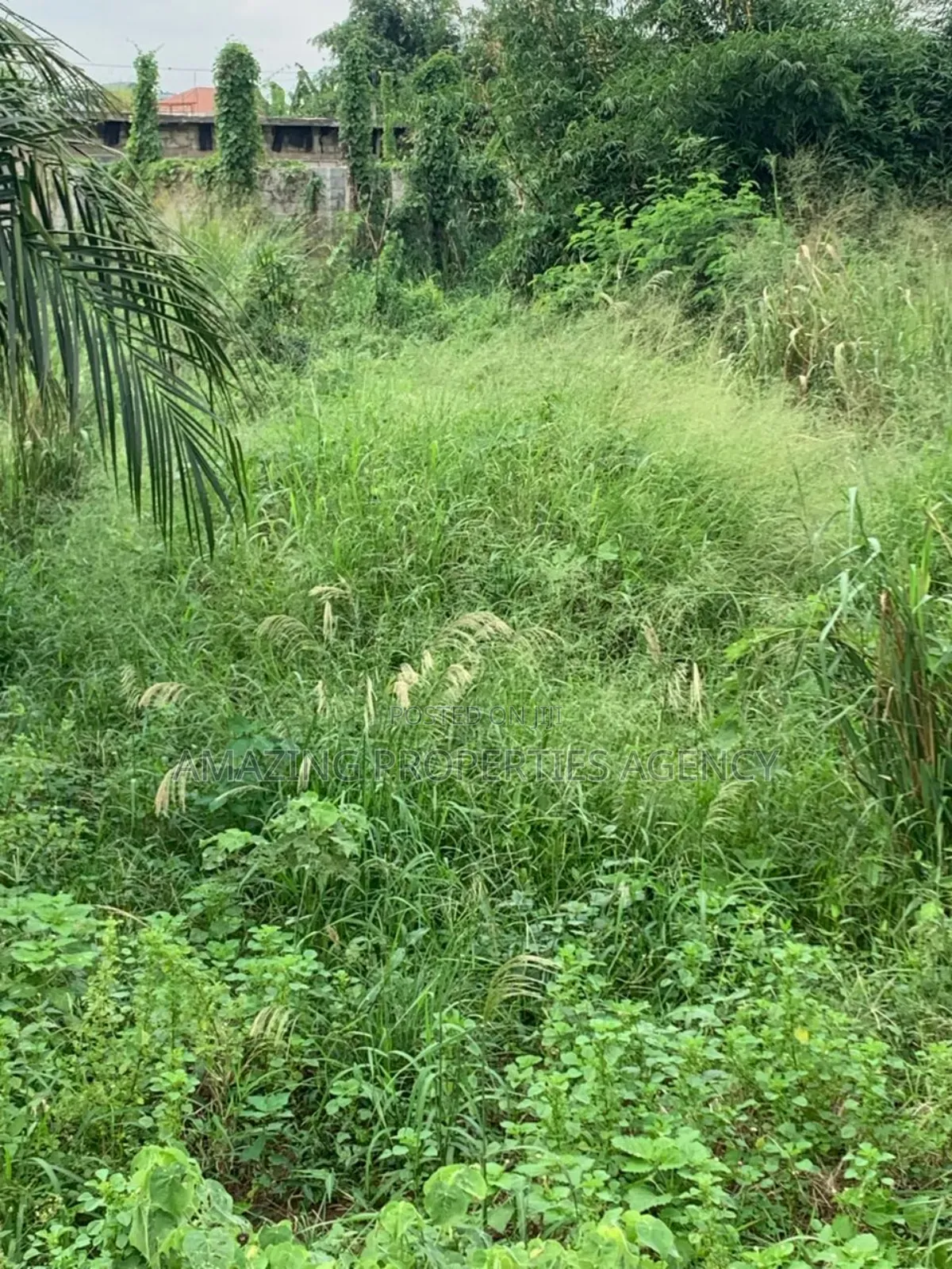 3 and Half Plots for Sale at Westlands in Adenta