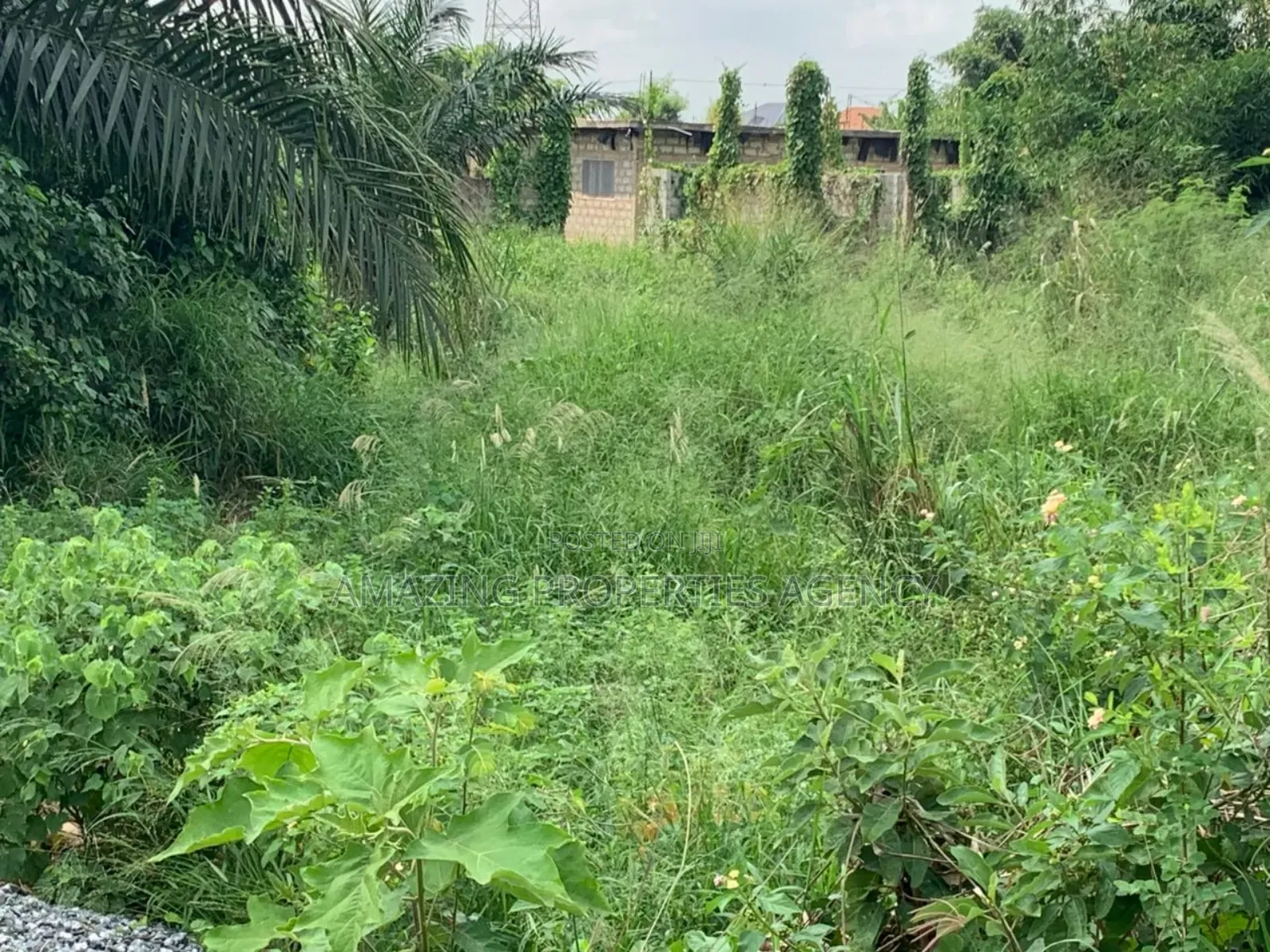 3 and Half Plots for Sale at Westlands in Adenta