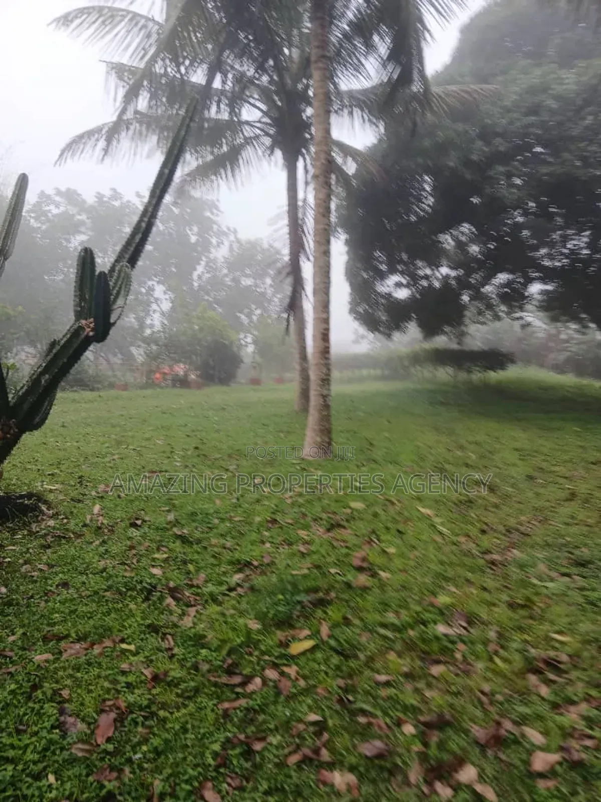 A. 1 Acre Of Main Roadside Land Available For Sale At Dzorwulu, in Dworwulu