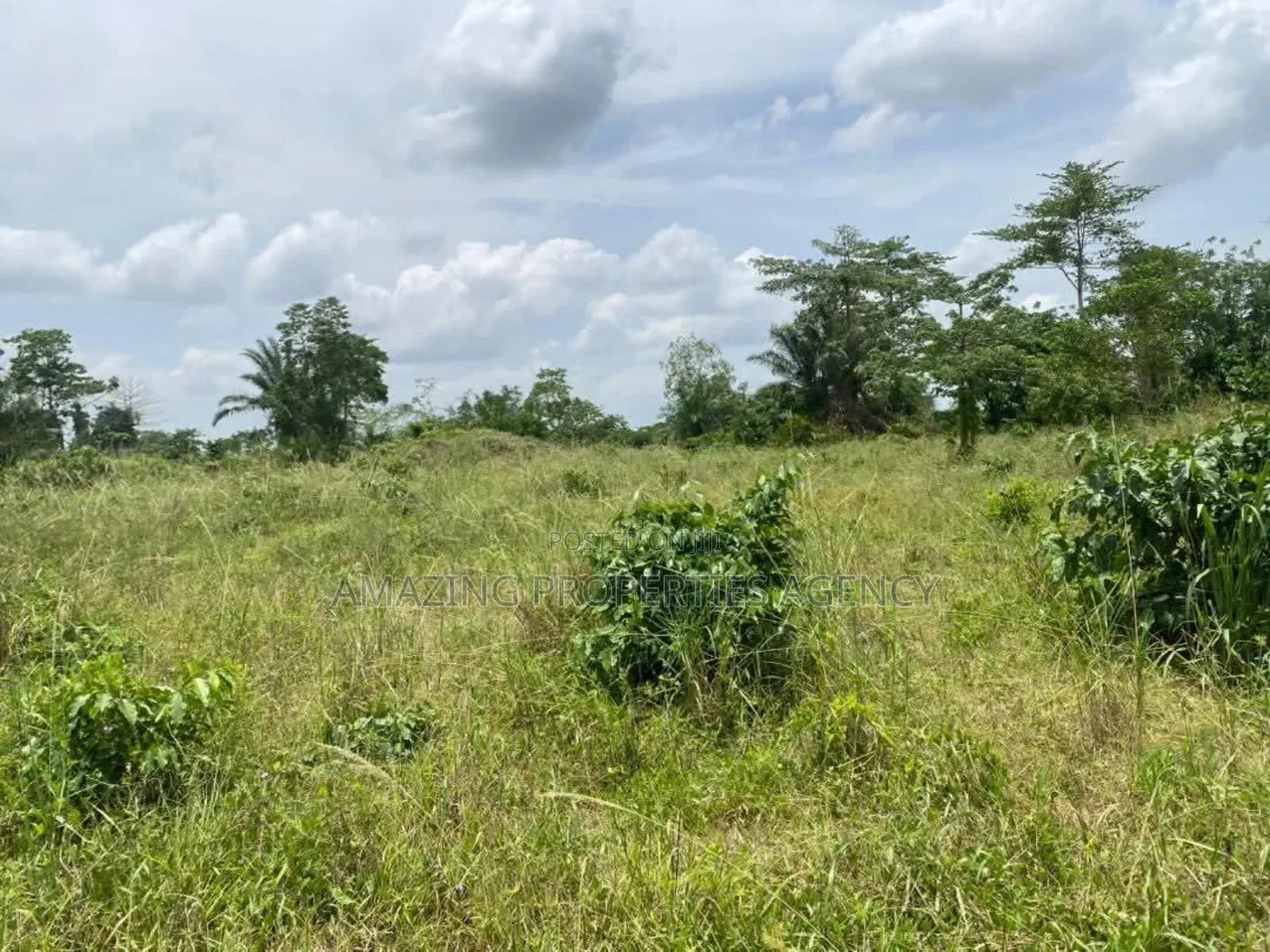 15 Acres Land for Sale* *Location*: Tema Industrial Area, in Tema Metropolitan