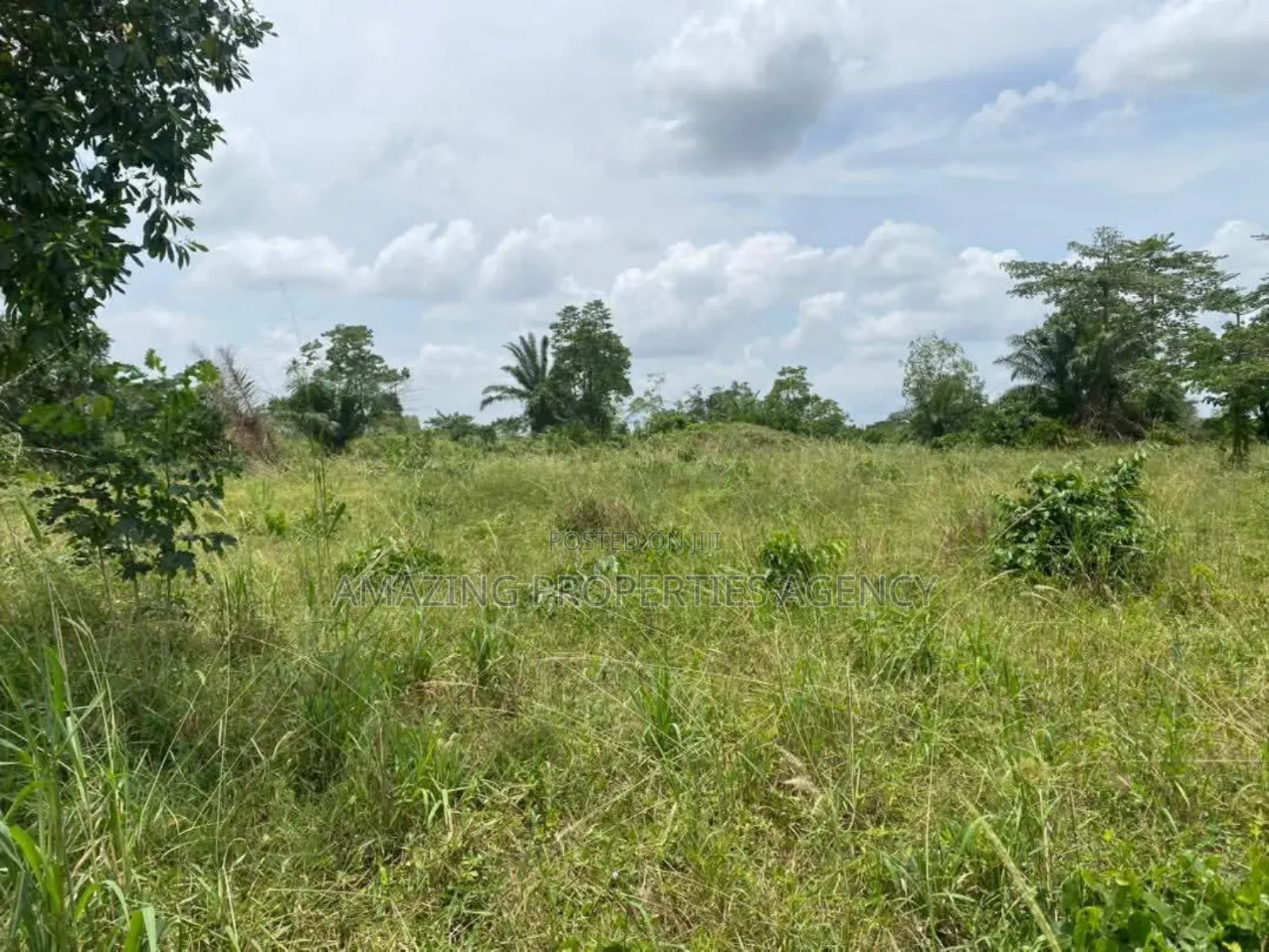 15 Acres Land for Sale* *Location*: Tema Industrial Area, in Tema Metropolitan