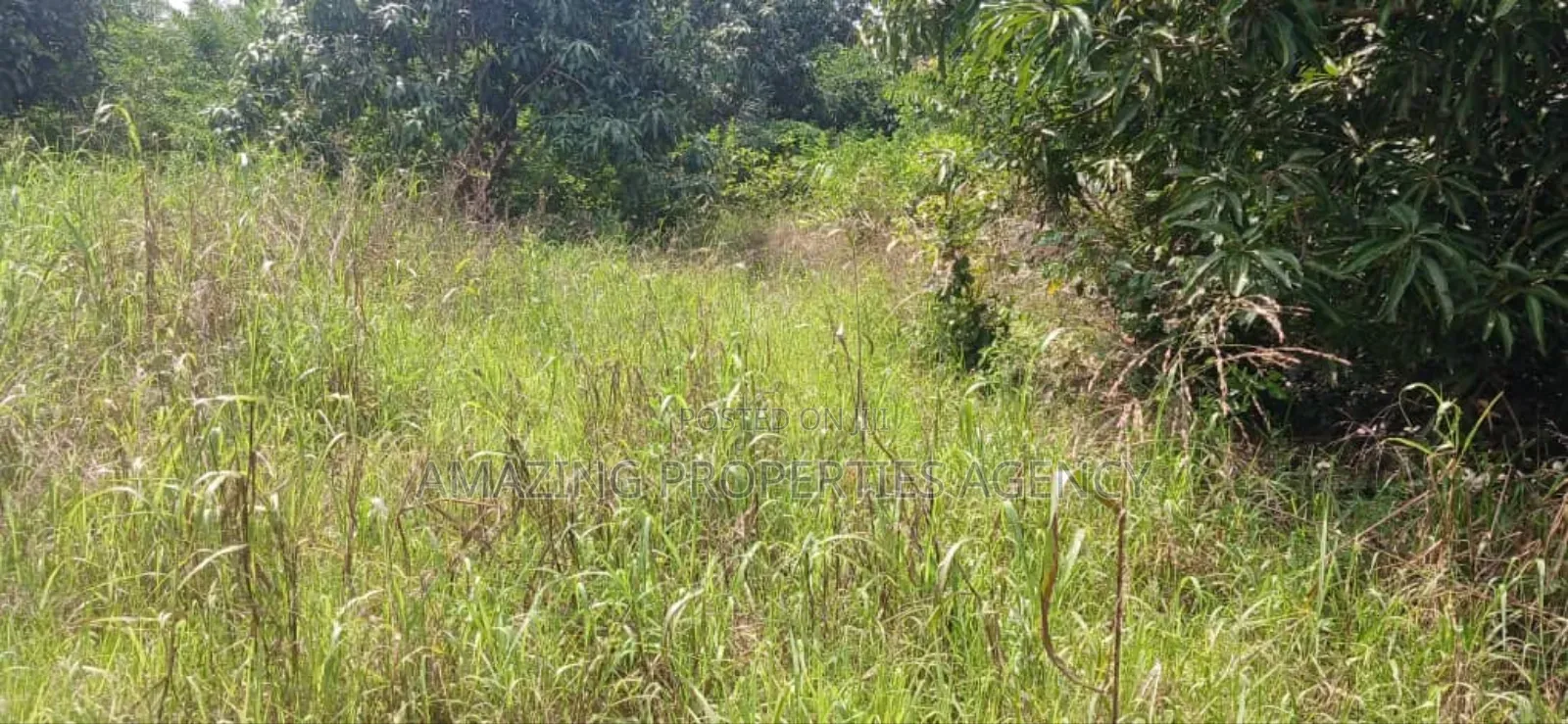 2 Acres of Land for Sale Location Dzowrolo/Abelemkpe Over Head in Dworwulu