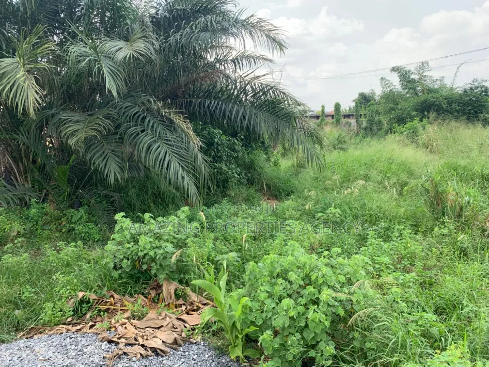 1 Acre of Prime Area Land Available for Sale at Tema Close to the Port in Tema Metropolitan