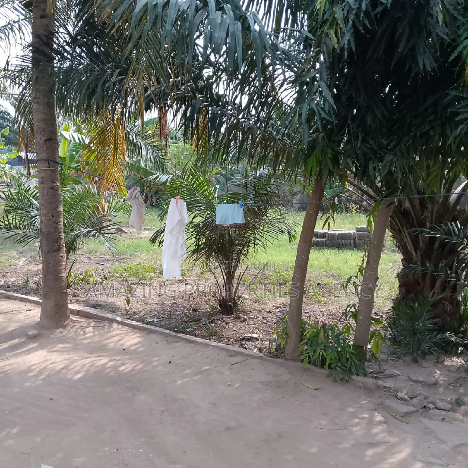 0.83, of an Acre Land Along Avenor to Circle Main Road F in Circle