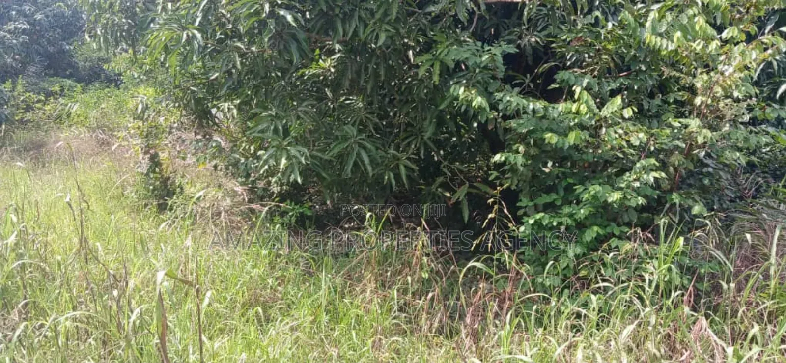 One Acre Land for Sale at Dansoman Around Liberty Stadium. in Dansoman