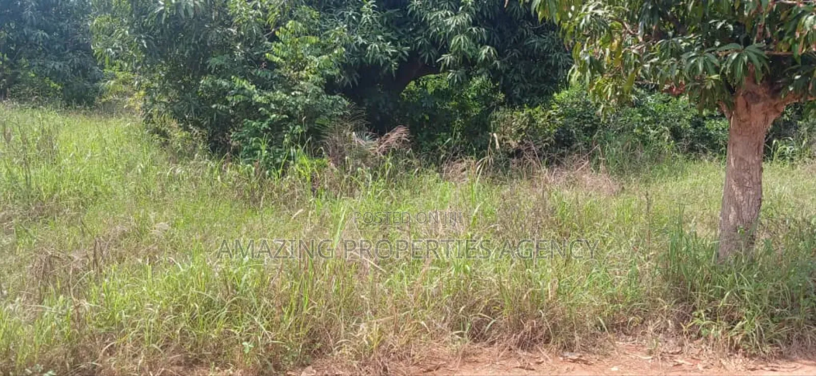 One Acre Land for Sale at Dansoman Around Liberty Stadium. in Dansoman