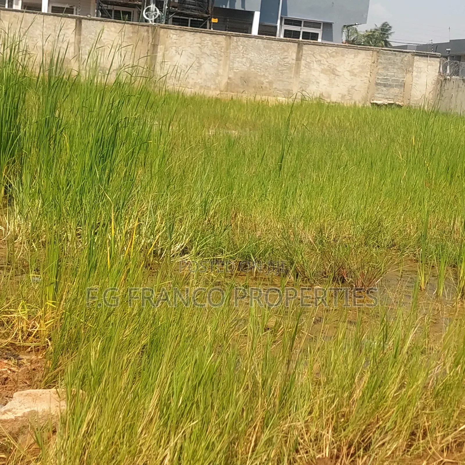 1.35 Acres Of Land For Sale At Tema Community 7 in Tema Metropolitan
