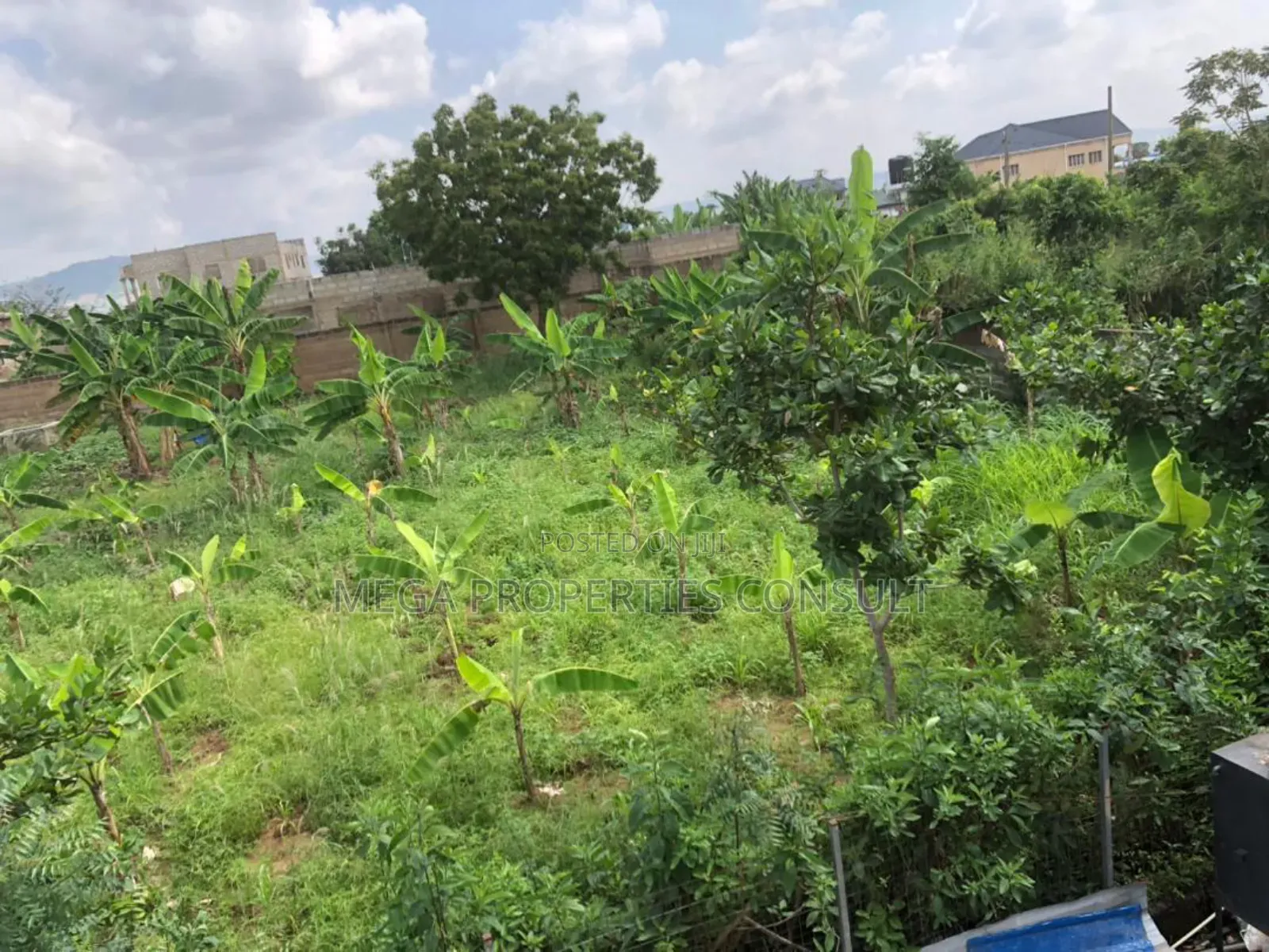 Land for Sale in Amasaman Medie in Amasaman