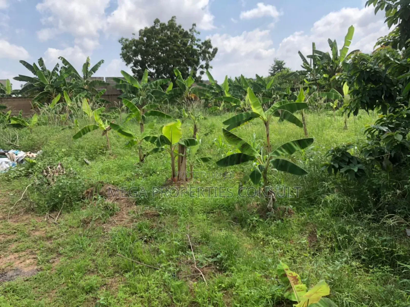 Land for Sale in Amasaman Medie in Amasaman