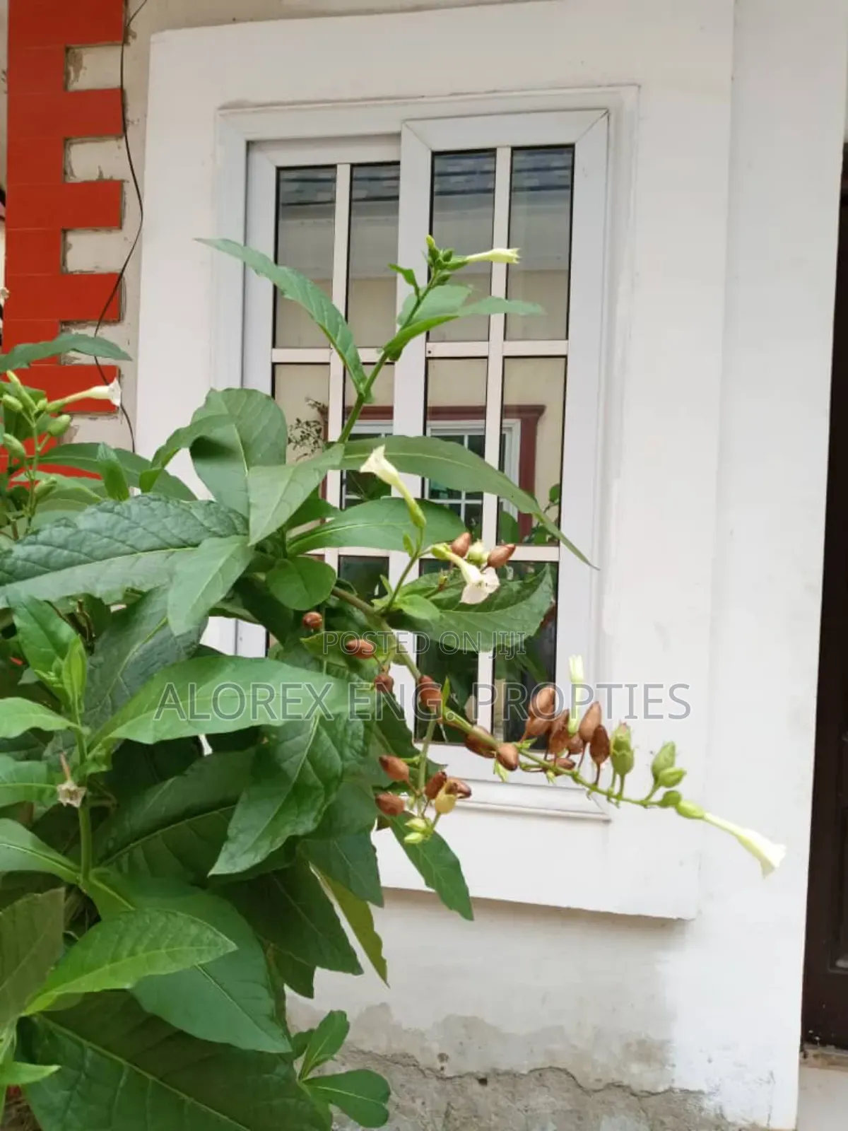 Furnished 2bdrm Apartment in Furnished, Abokobi for rent in Abokobi