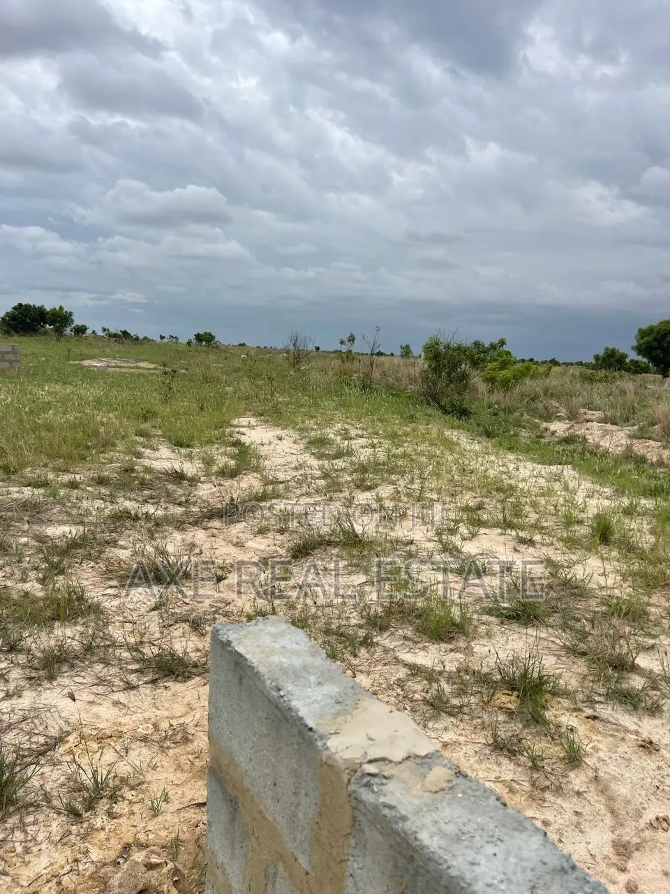 Best Reduction Deals on Lands. Half Plot in New Ningo