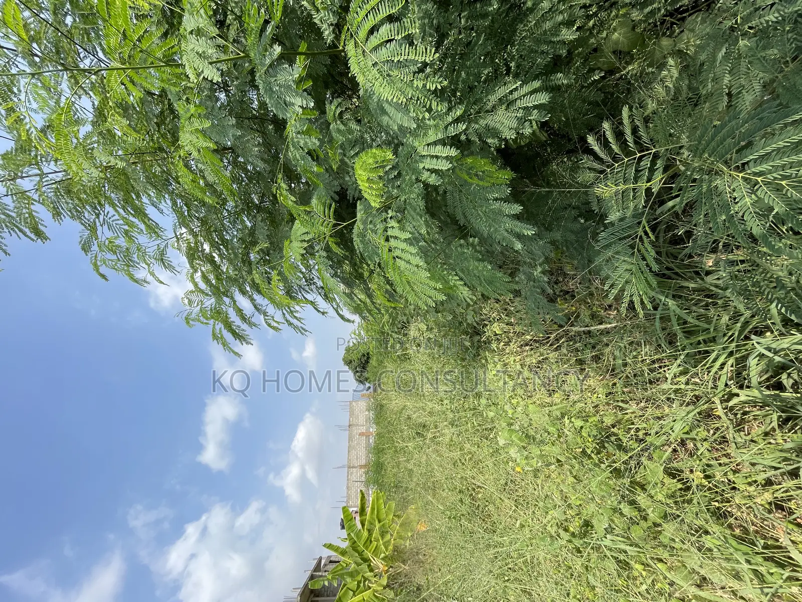 Two Plots of Land for Sale in Ashaley Botwe