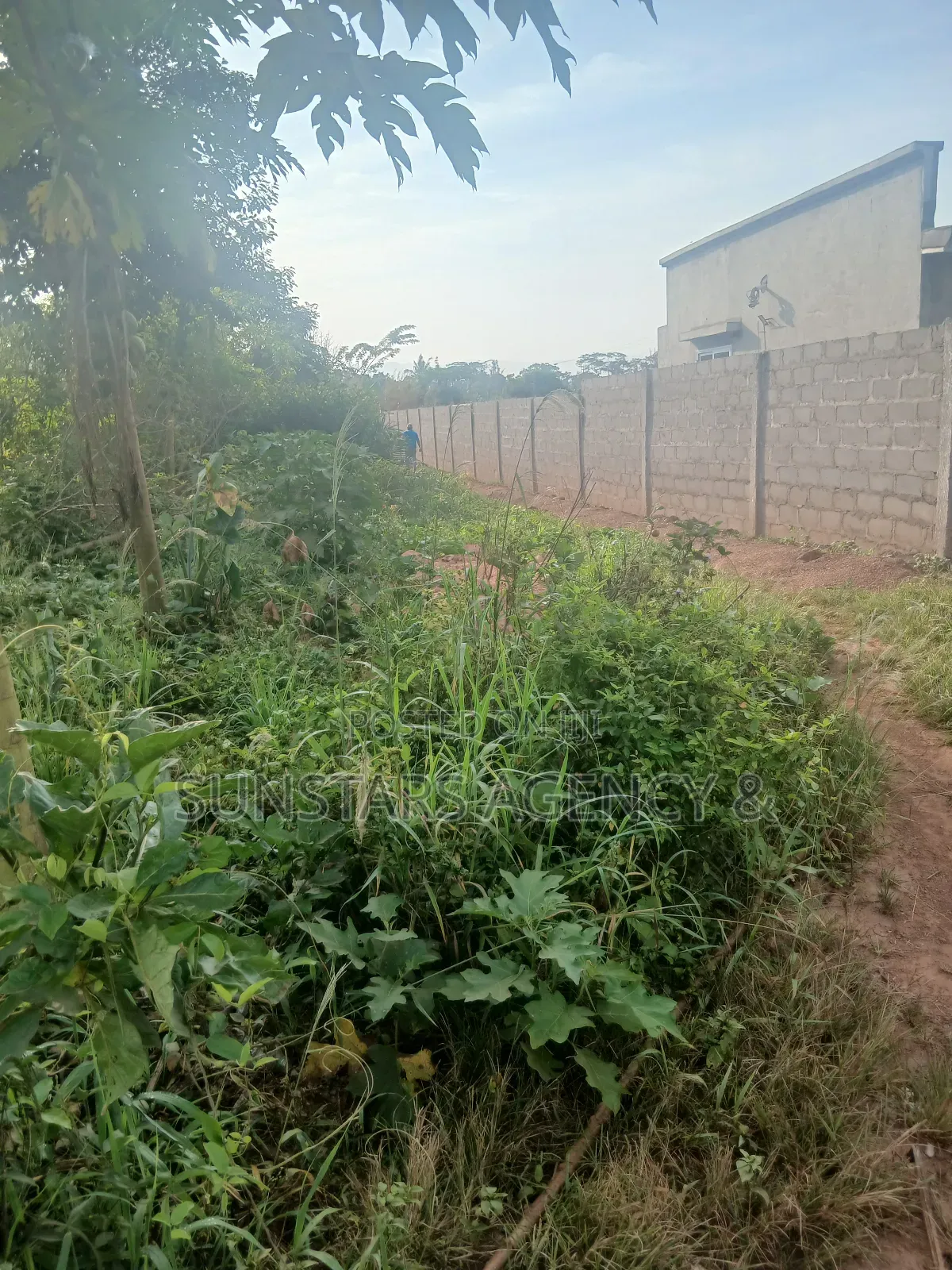 Land for Sale in Hohoe in Hohoe Municipal