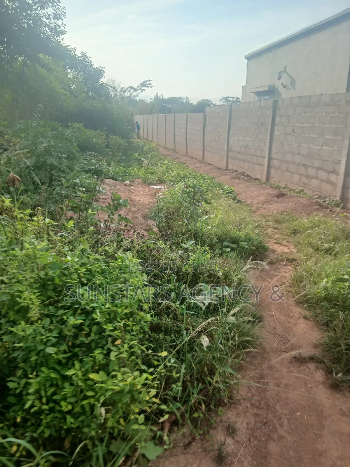 Land for Sale in Hohoe in Hohoe Municipal