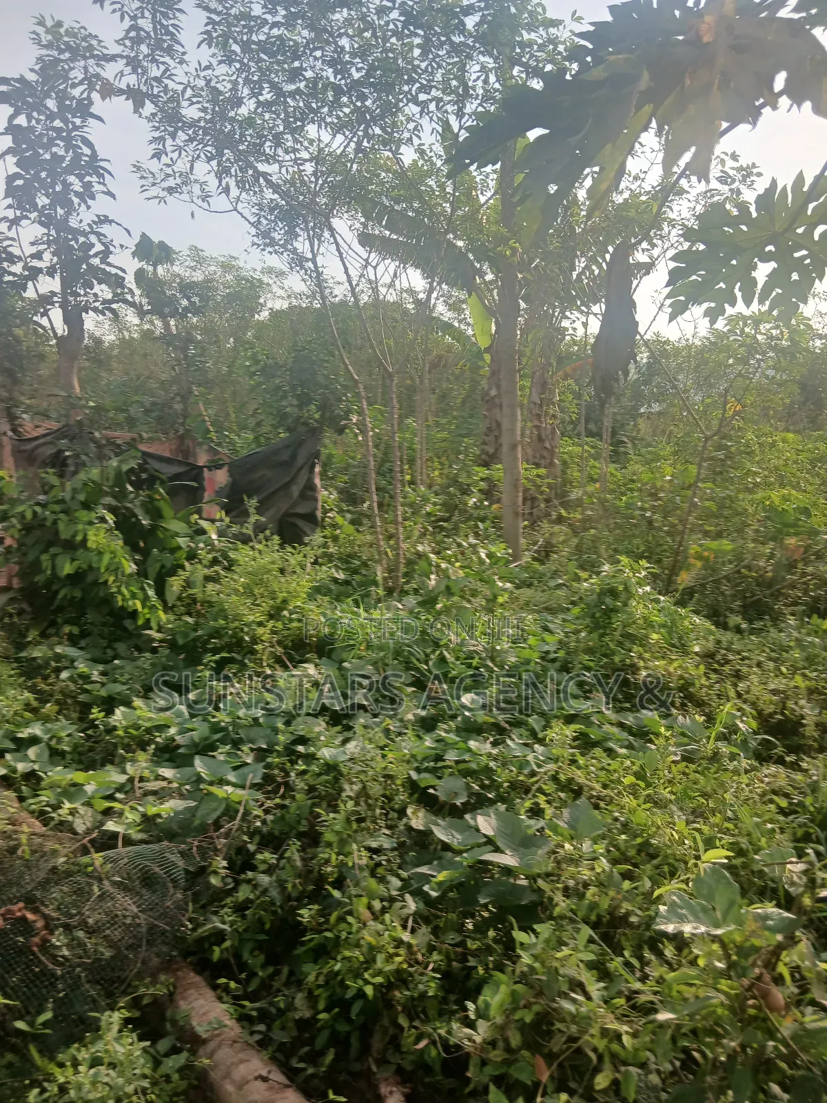 Land for Sale in Hohoe in Hohoe Municipal
