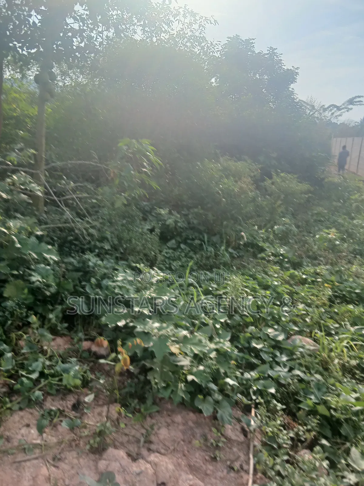 Land for Sale in Hohoe in Hohoe Municipal
